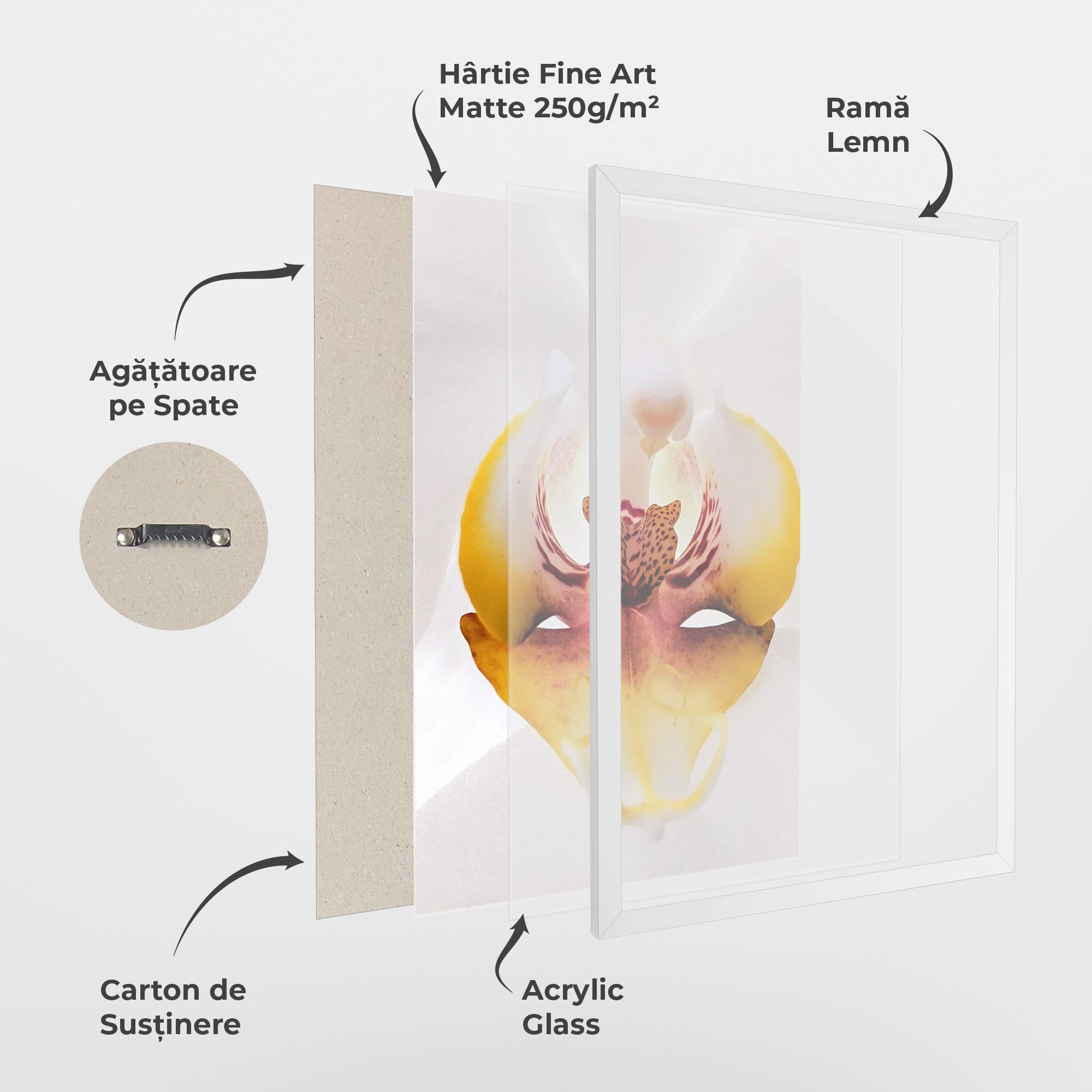 Orchid Close Up mockup 1