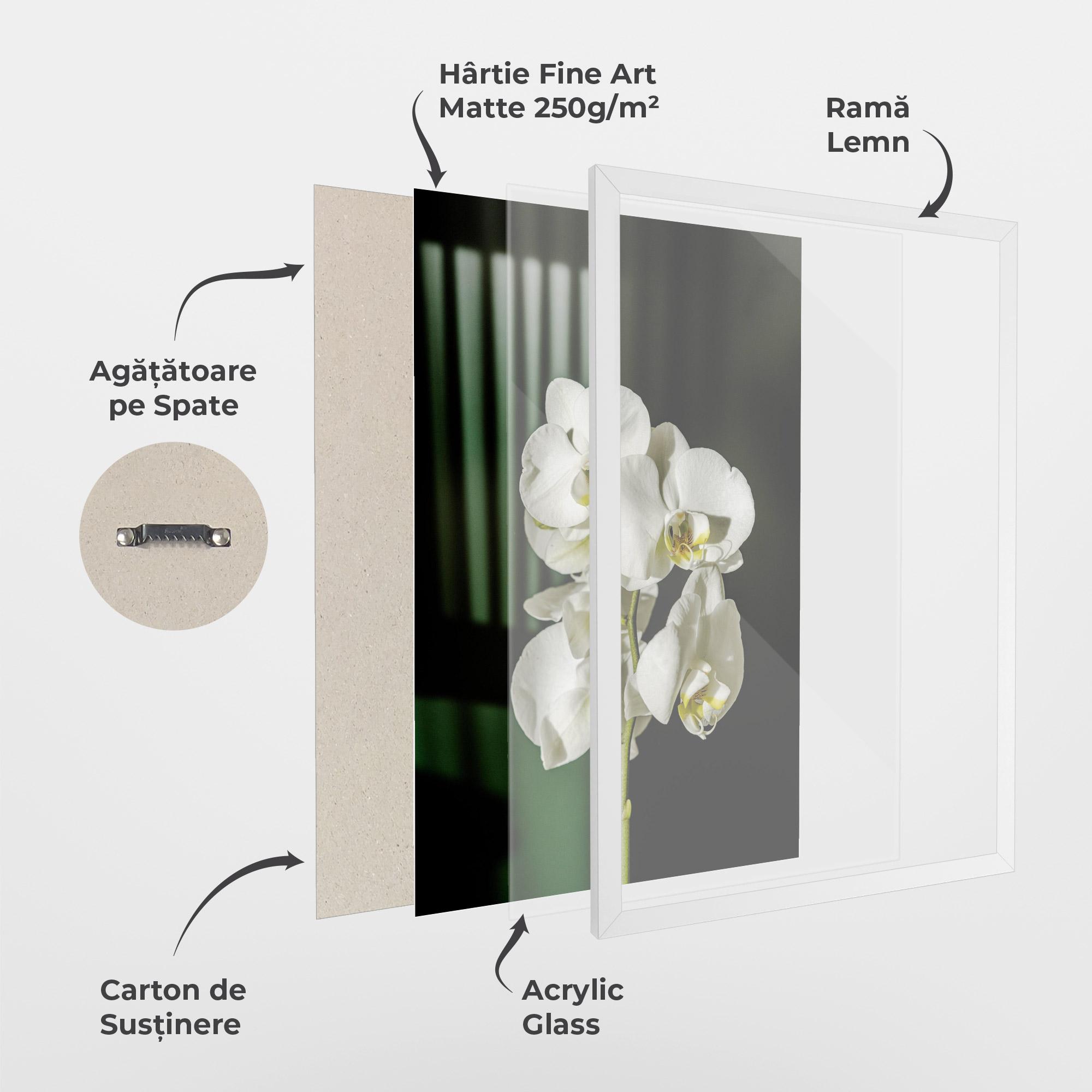 Poster Înrămat Orchid On Green mockup 1