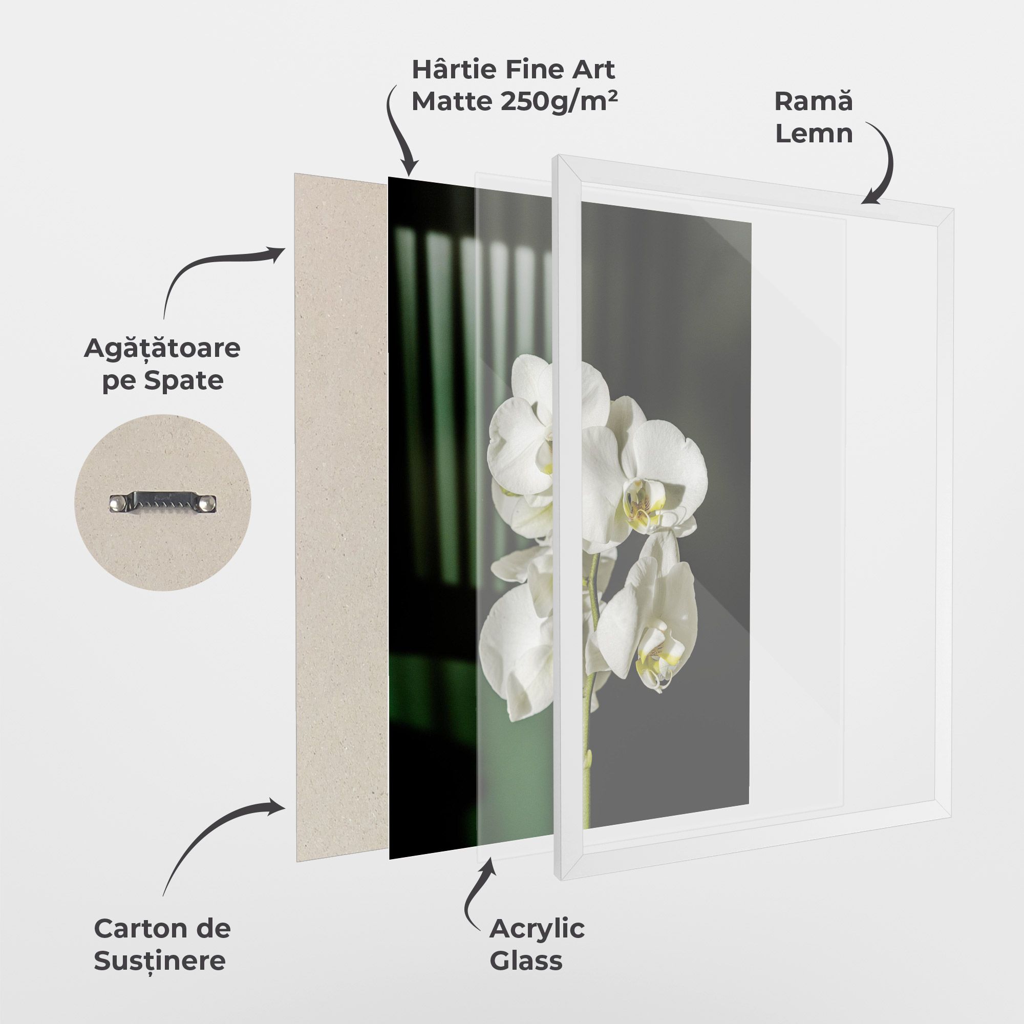 Orchid On Green mockup 1