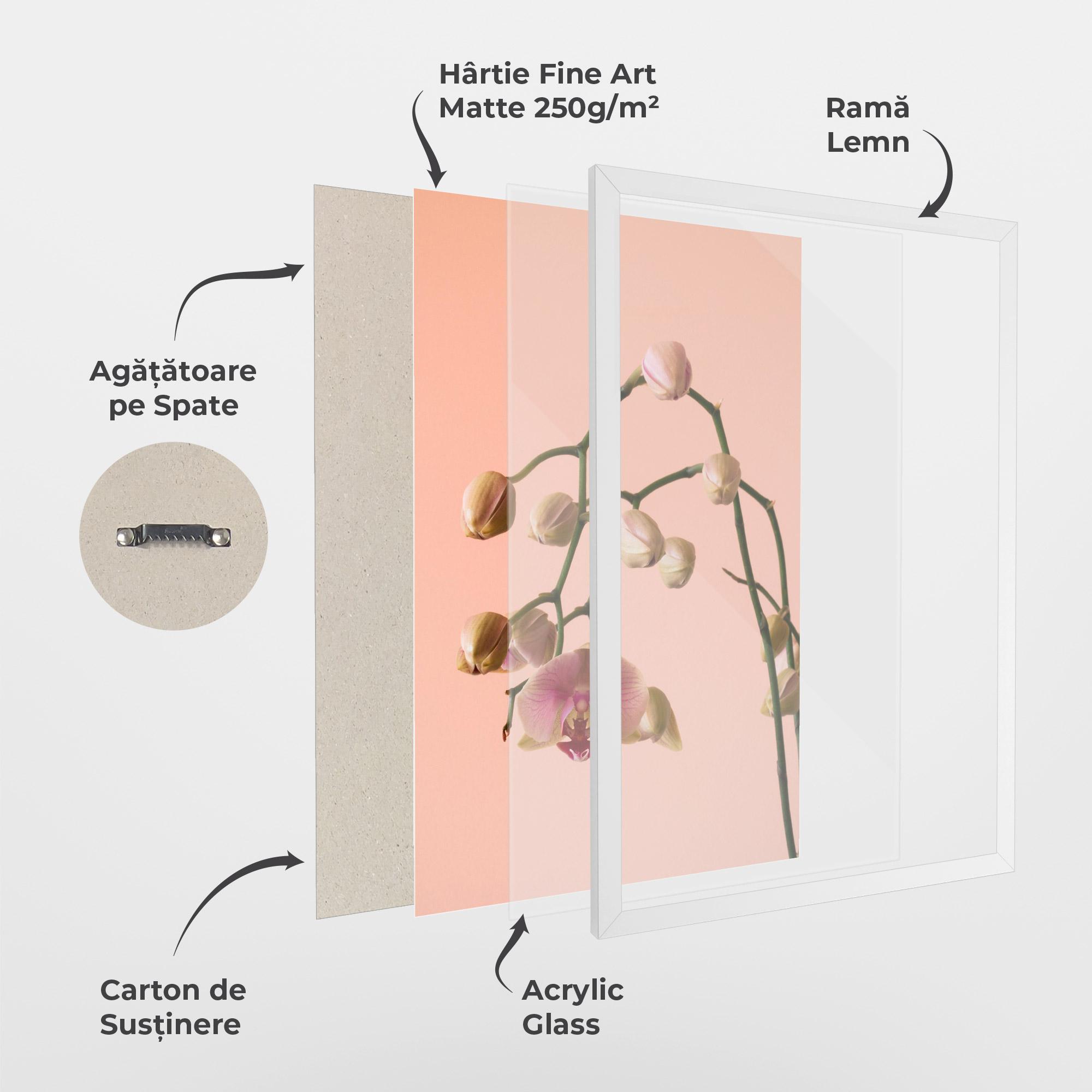 Poster Înrămat Orchids On Pink mockup 1