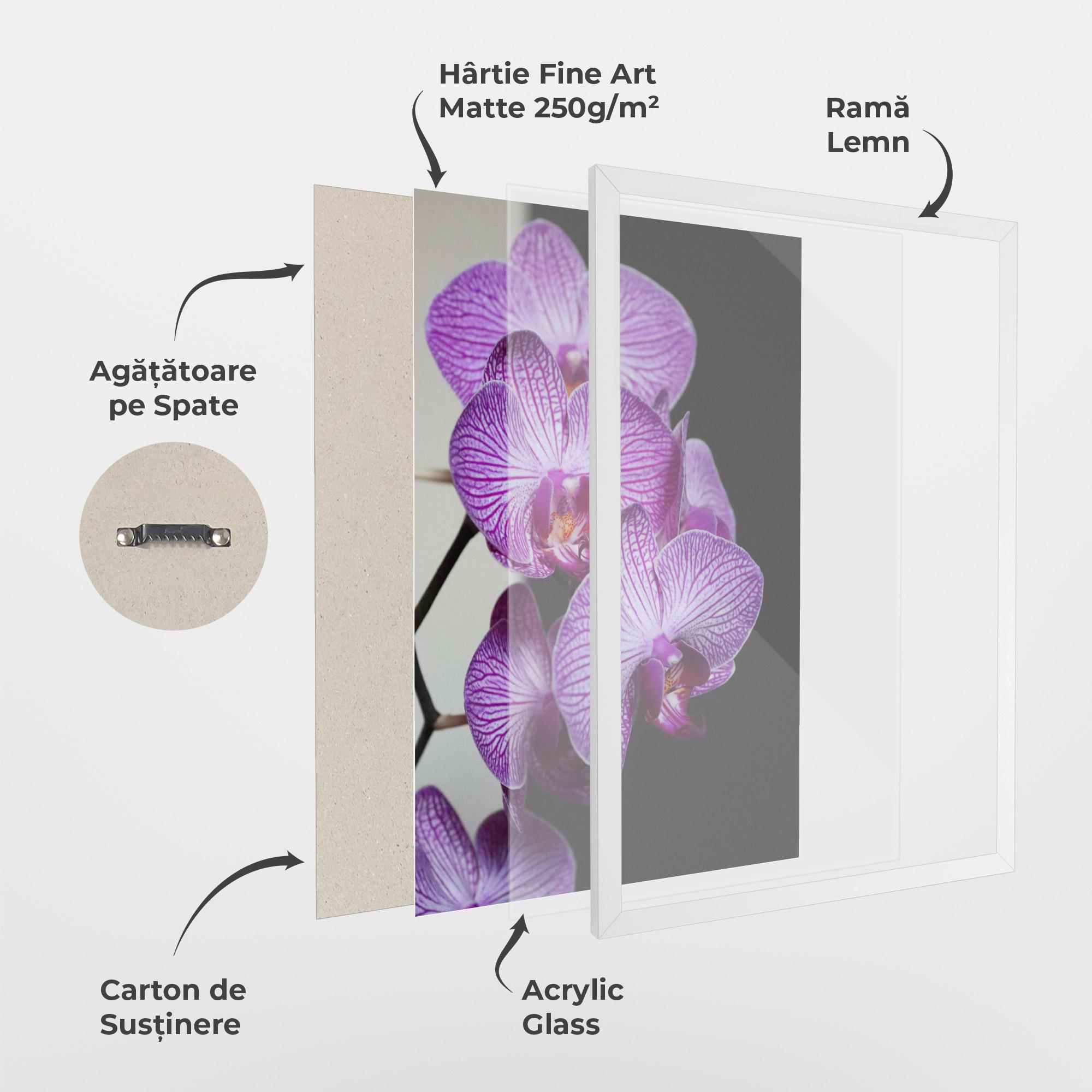 Poster Înrămat Purple Orchid On Black mockup 1