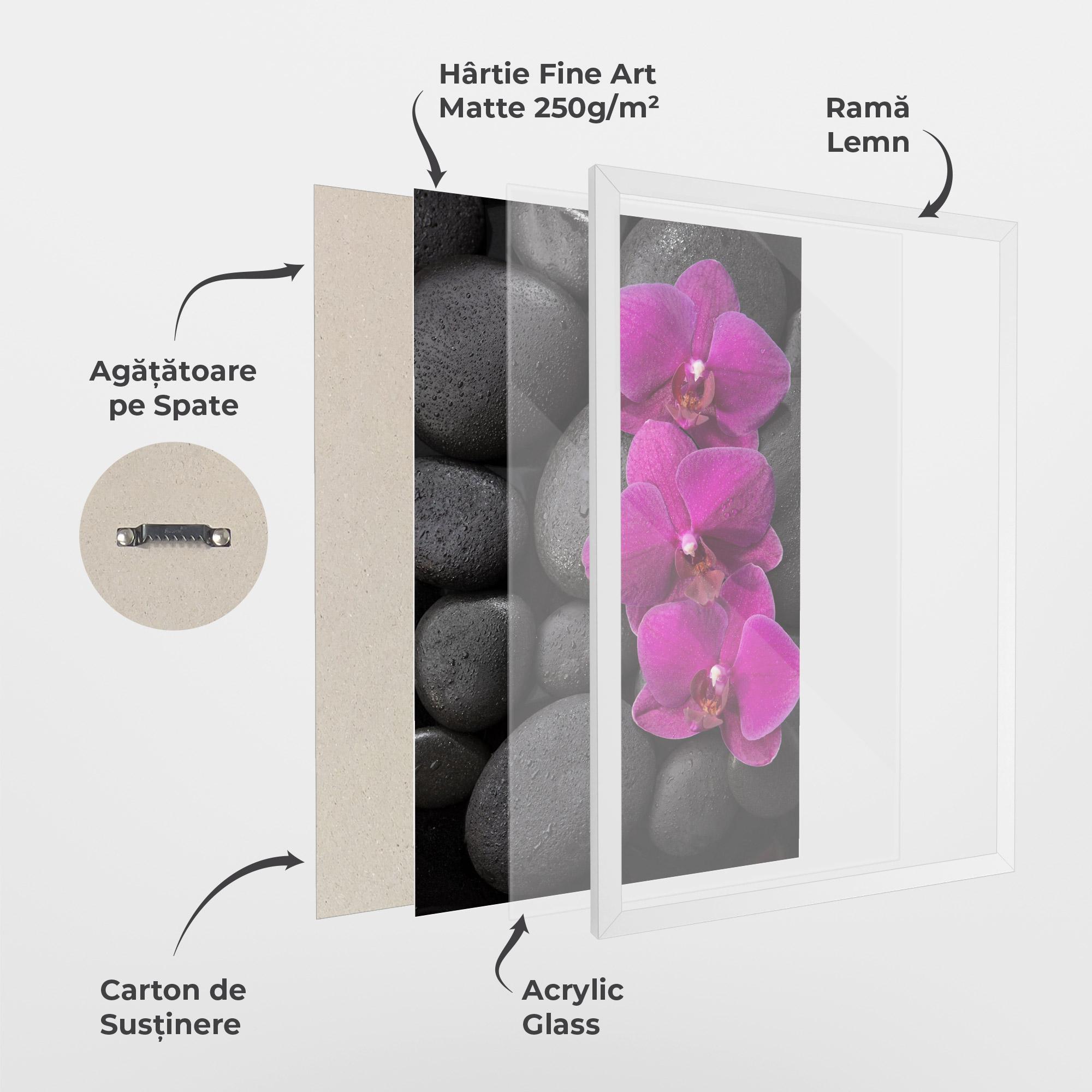 Poster Înrămat Purple Orchid On Rocks mockup 1