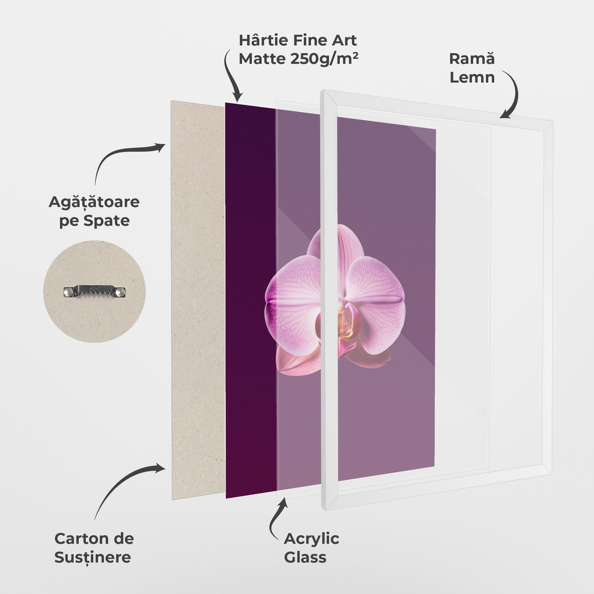 Purple Orchid mockup 1