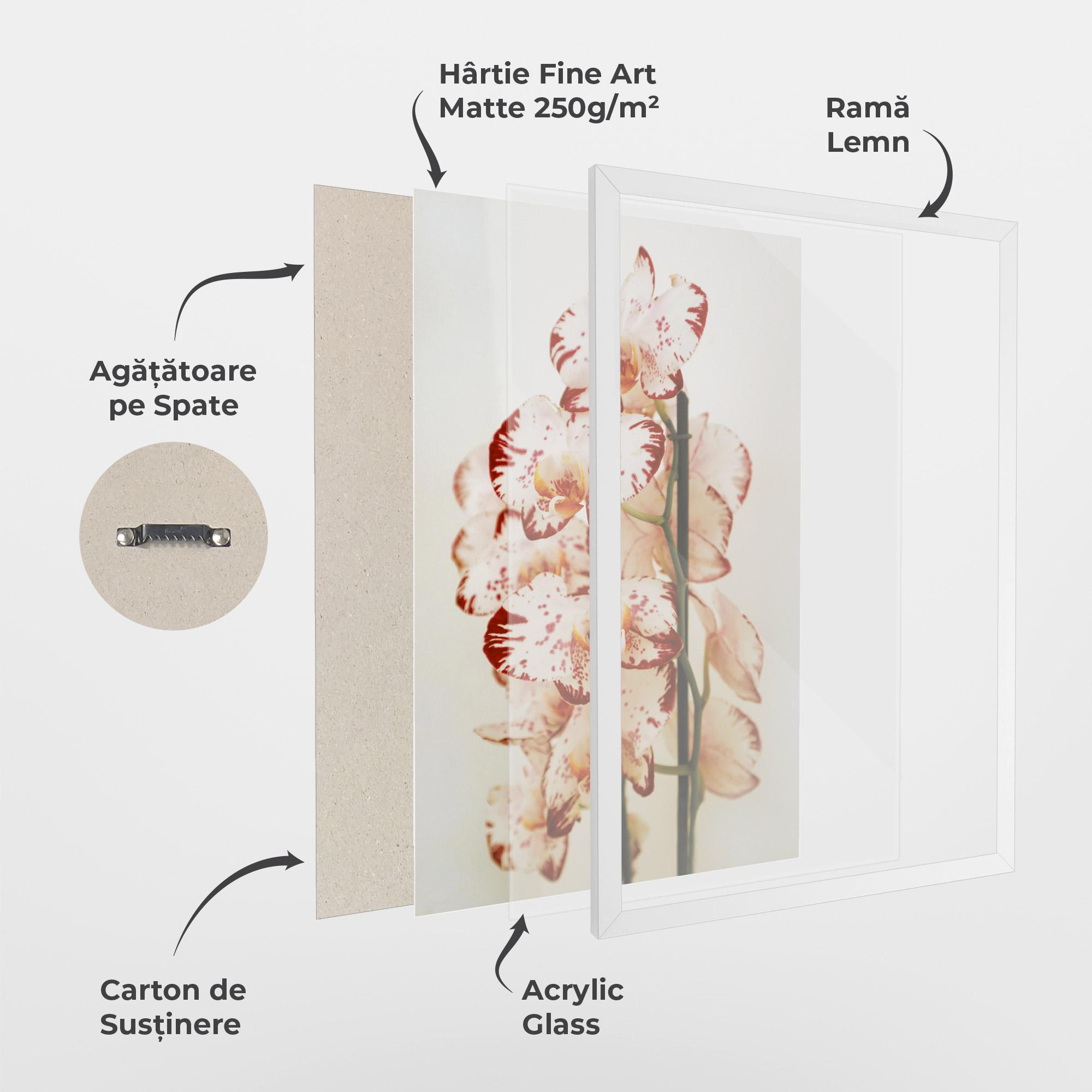 Poster Înrămat Red White Orchids mockup 1