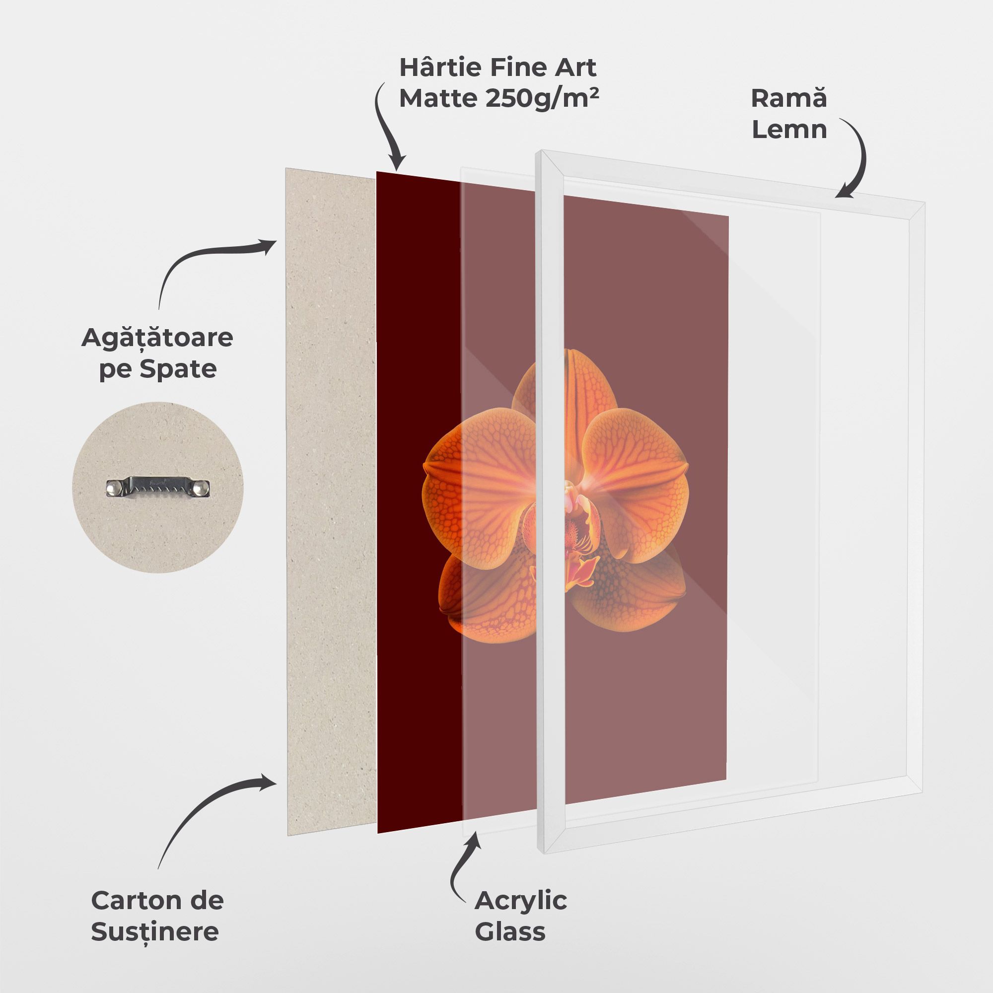 Strong Orange Orchid mockup 1