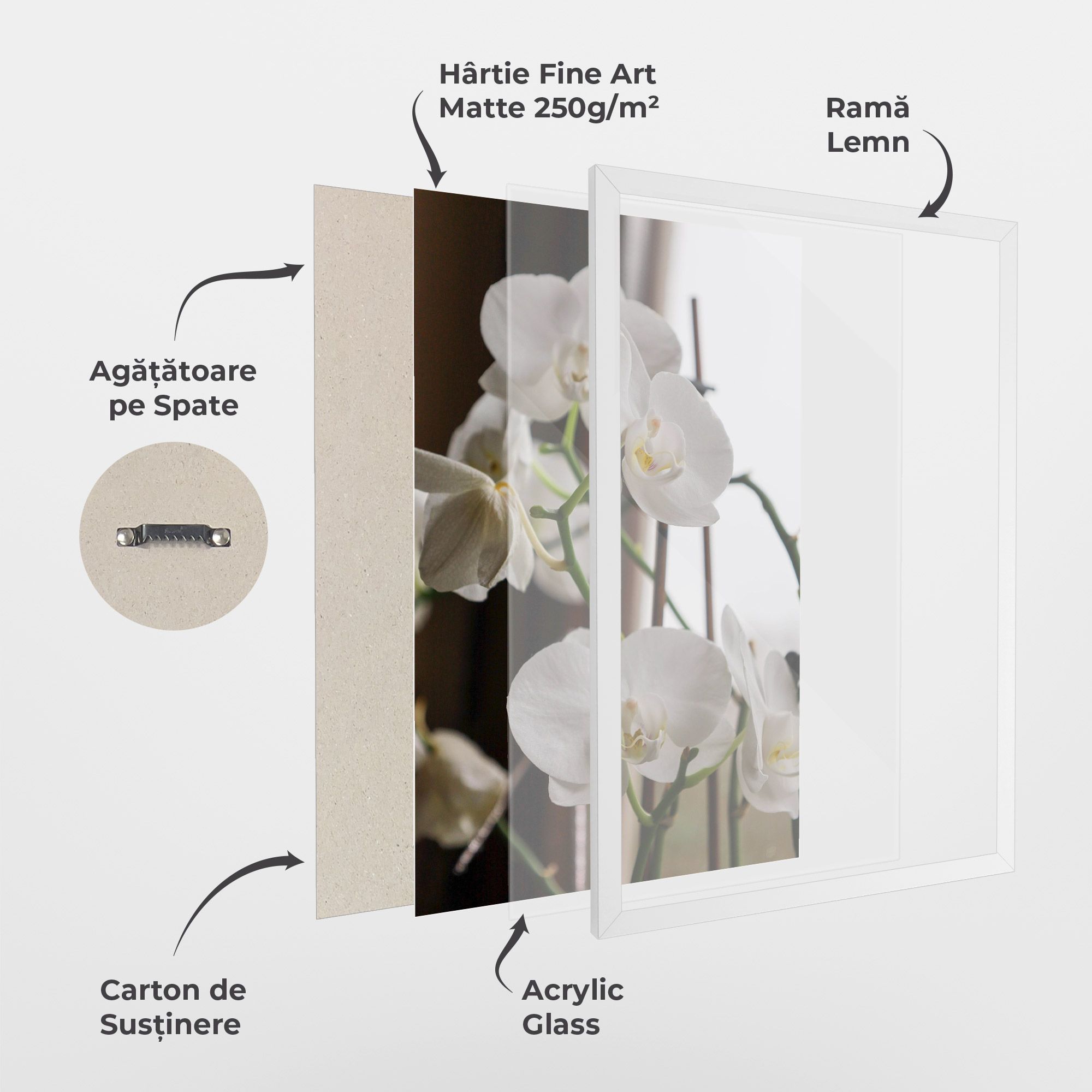 White Orchid Growing mockup 1