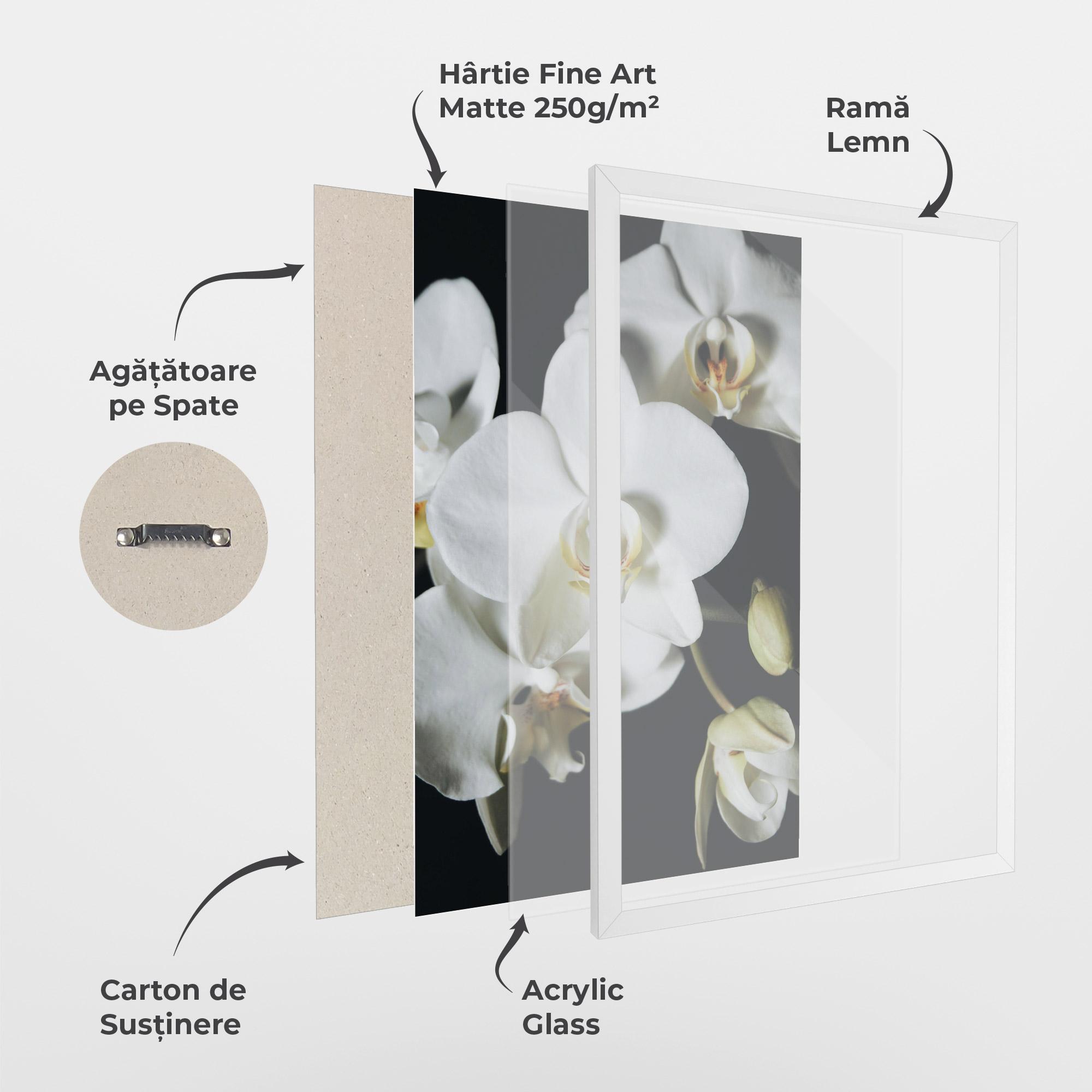 Poster Înrămat White Orchid On Black mockup 1