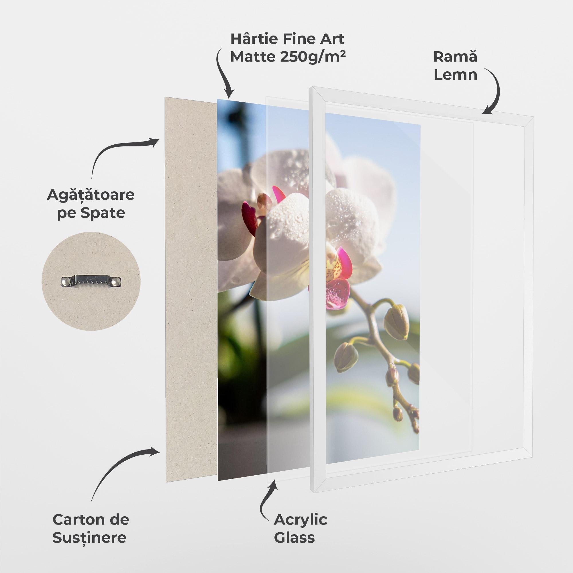 Poster Înrămat White Orchid With Water mockup 1