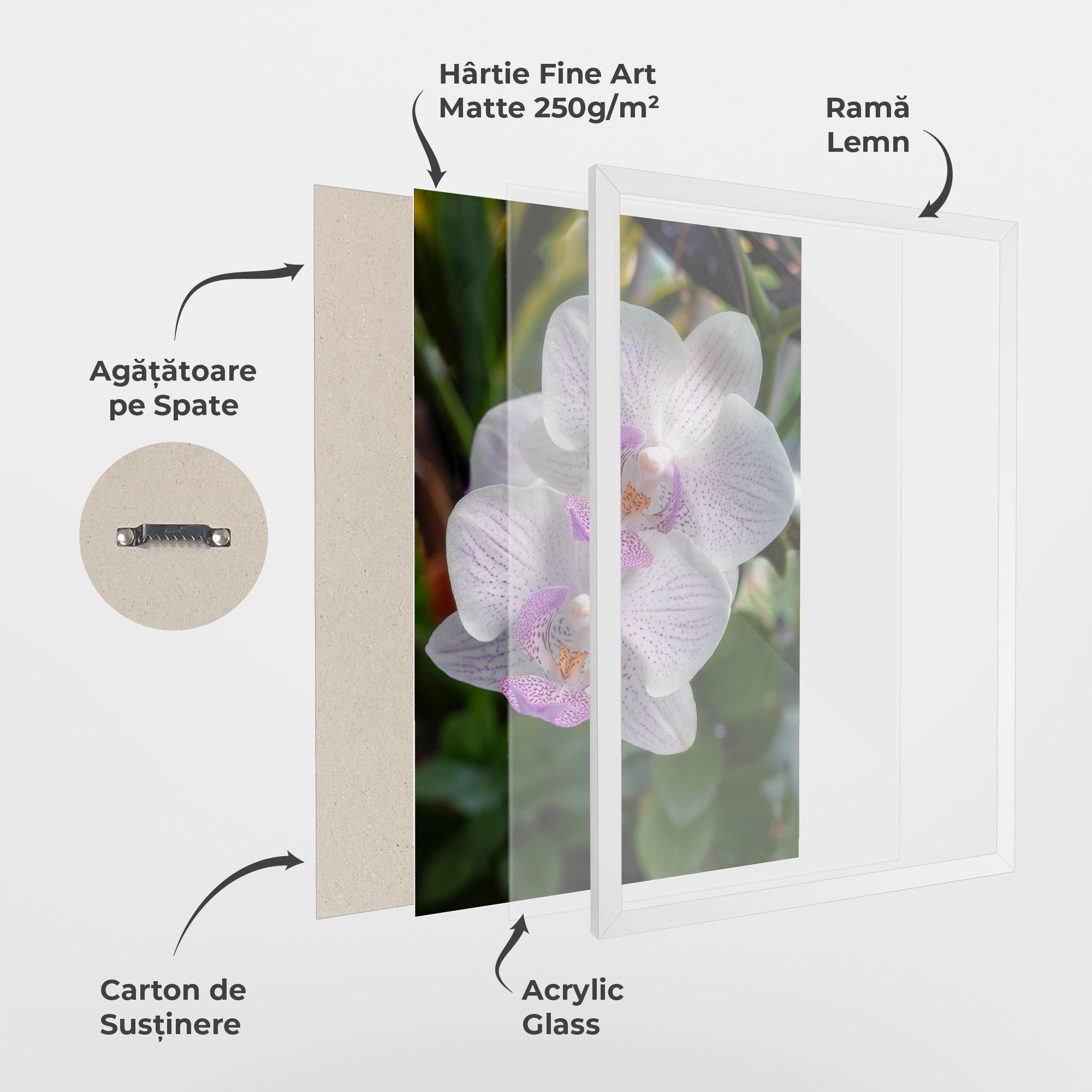 Poster Înrămat White Orchids mockup 1