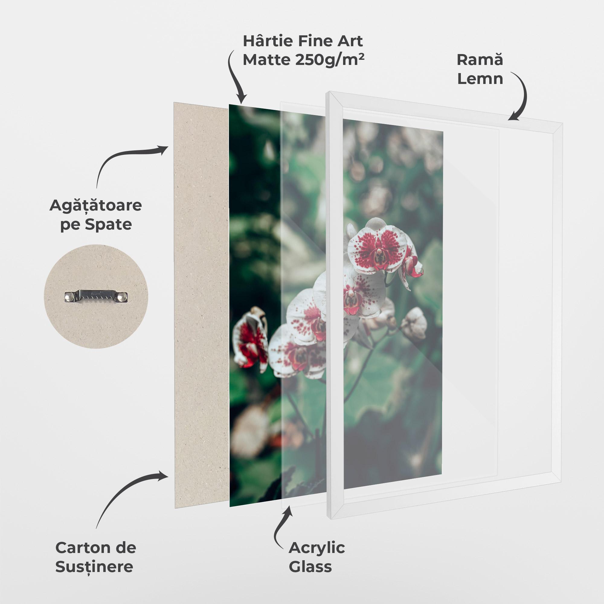 Poster Înrămat White Red Orchid mockup 1