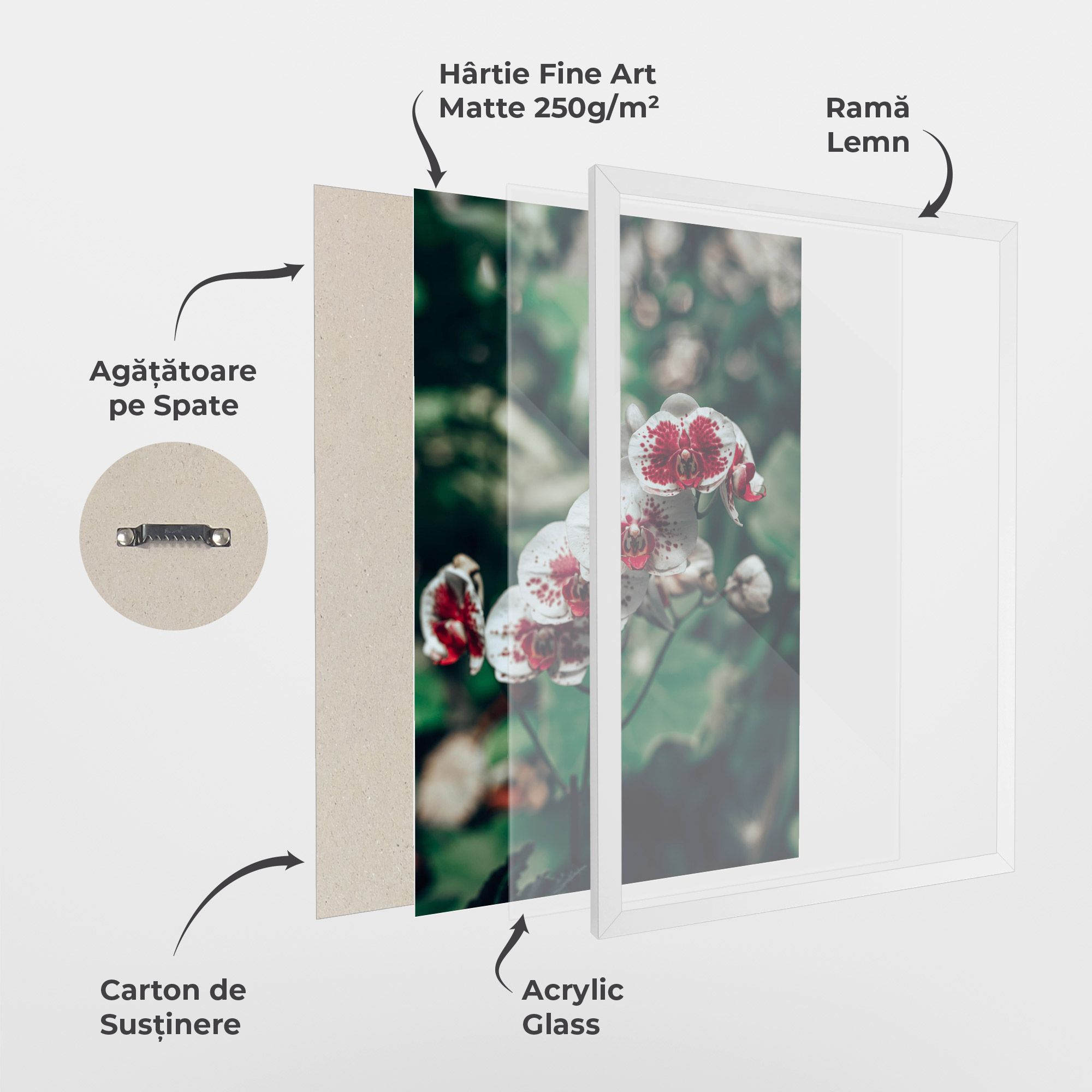 White Red Orchid mockup 1