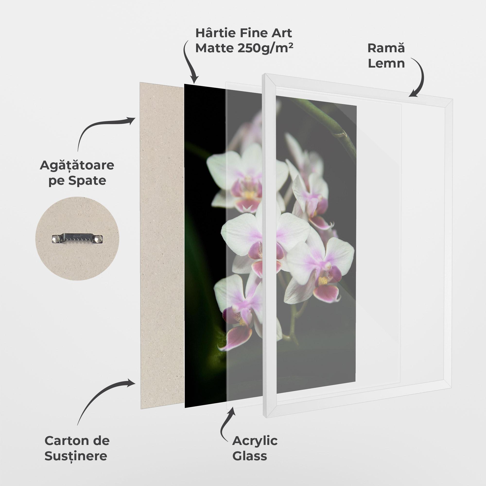 Poster Înrămat Wild White Purple Orchid mockup 1
