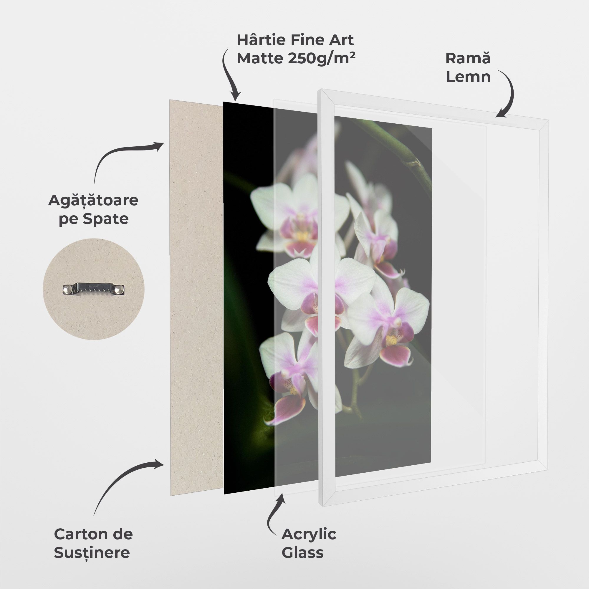 Wild White Purple Orchid mockup 1