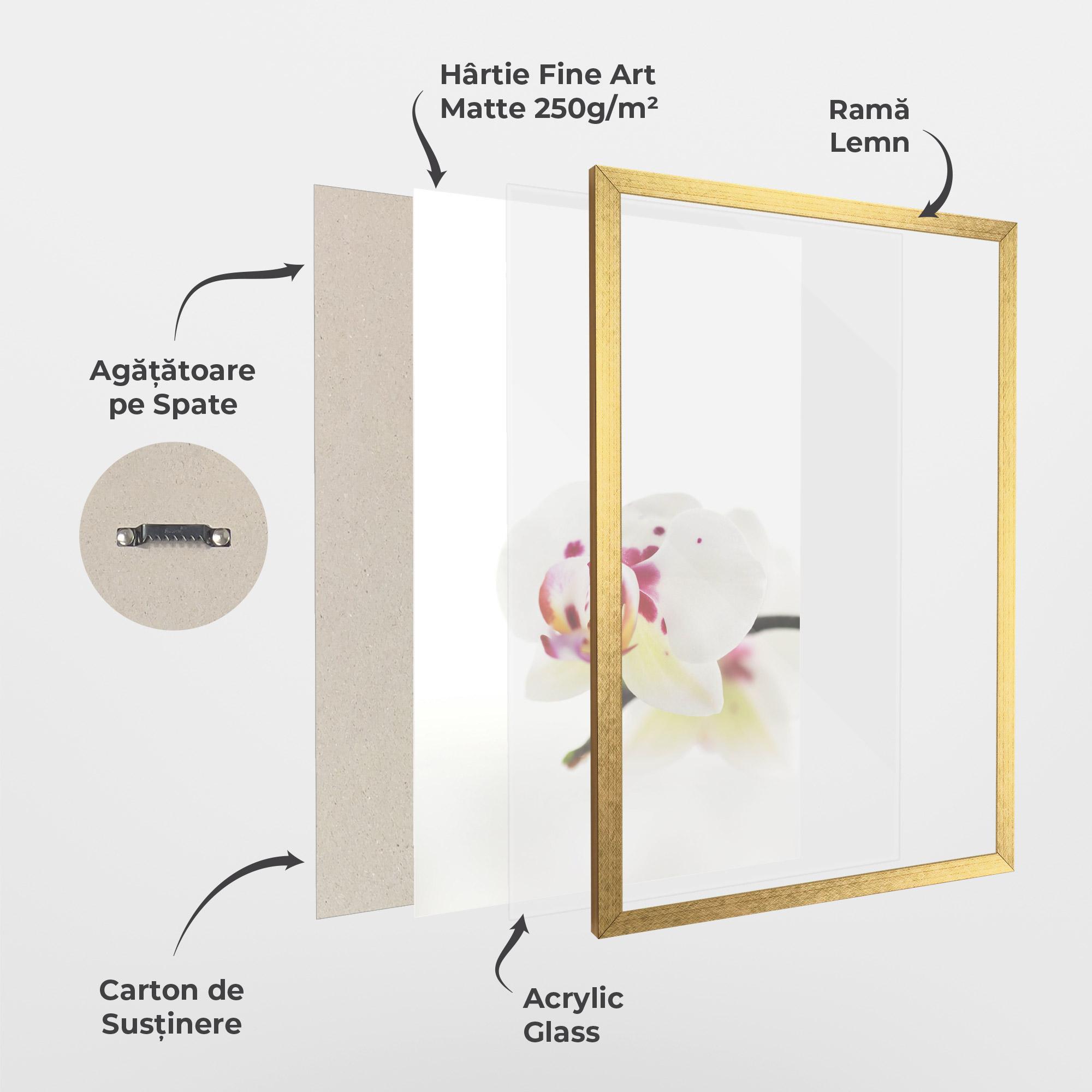 Poster Înrămat Clean White Orchid mockup 1