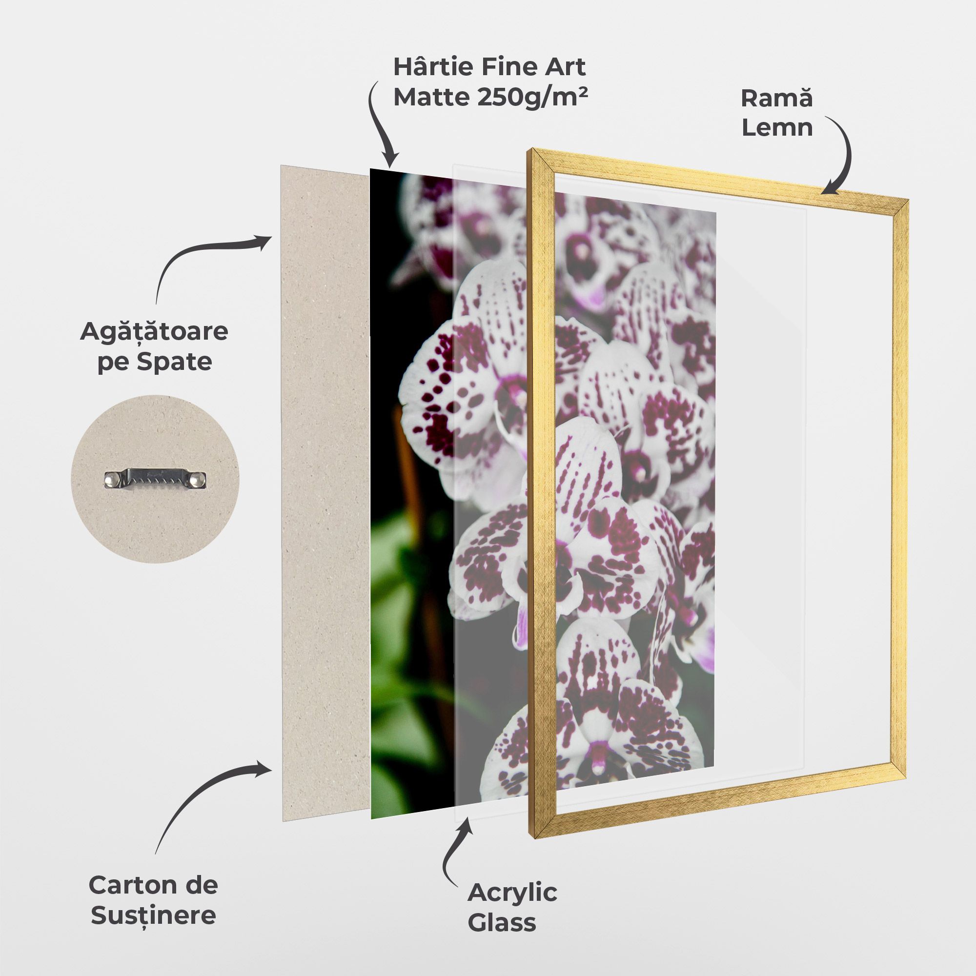 Dark Purple Orchids mockup 1