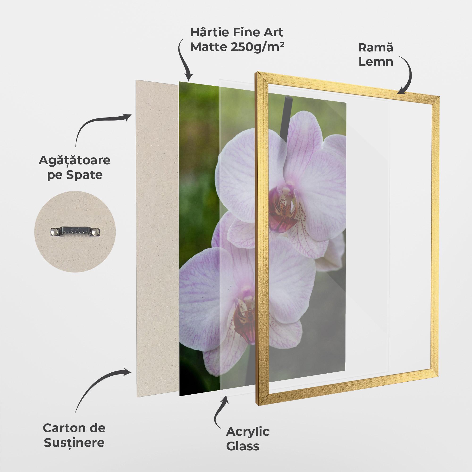 Poster Înrămat Garden Light Purple Orchid mockup 1