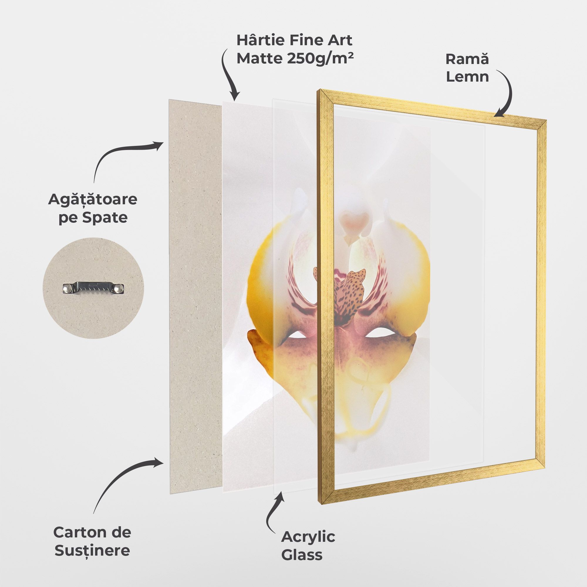 Orchid Close Up mockup 1