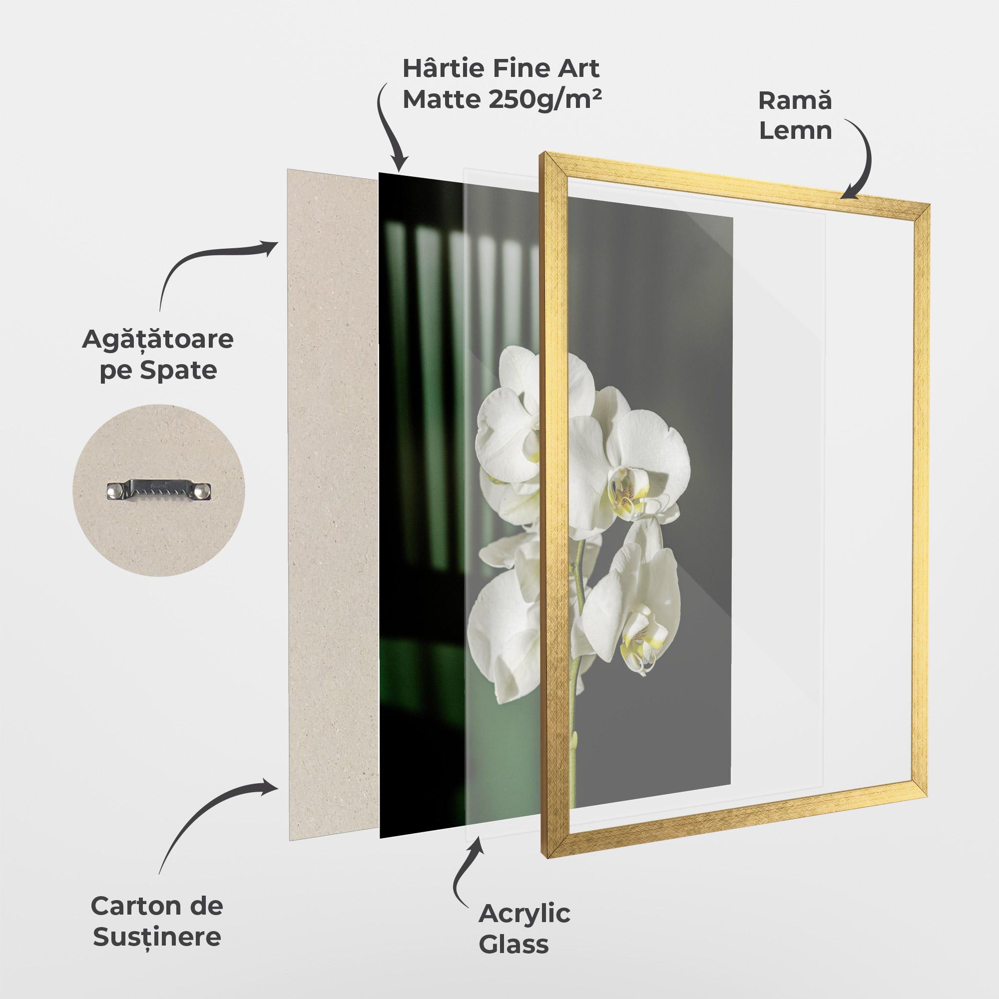 Poster Înrămat Orchid On Green mockup 1