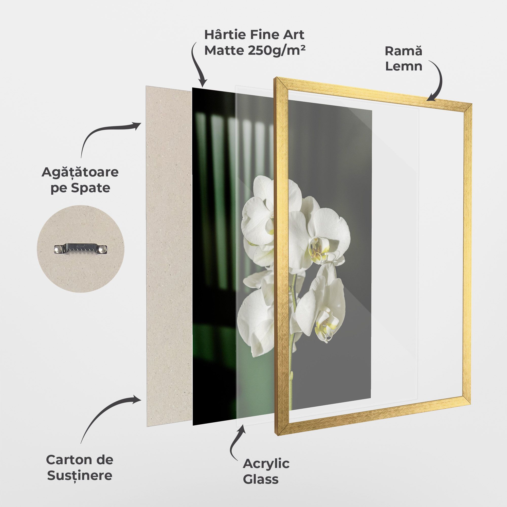 Orchid On Green mockup 1