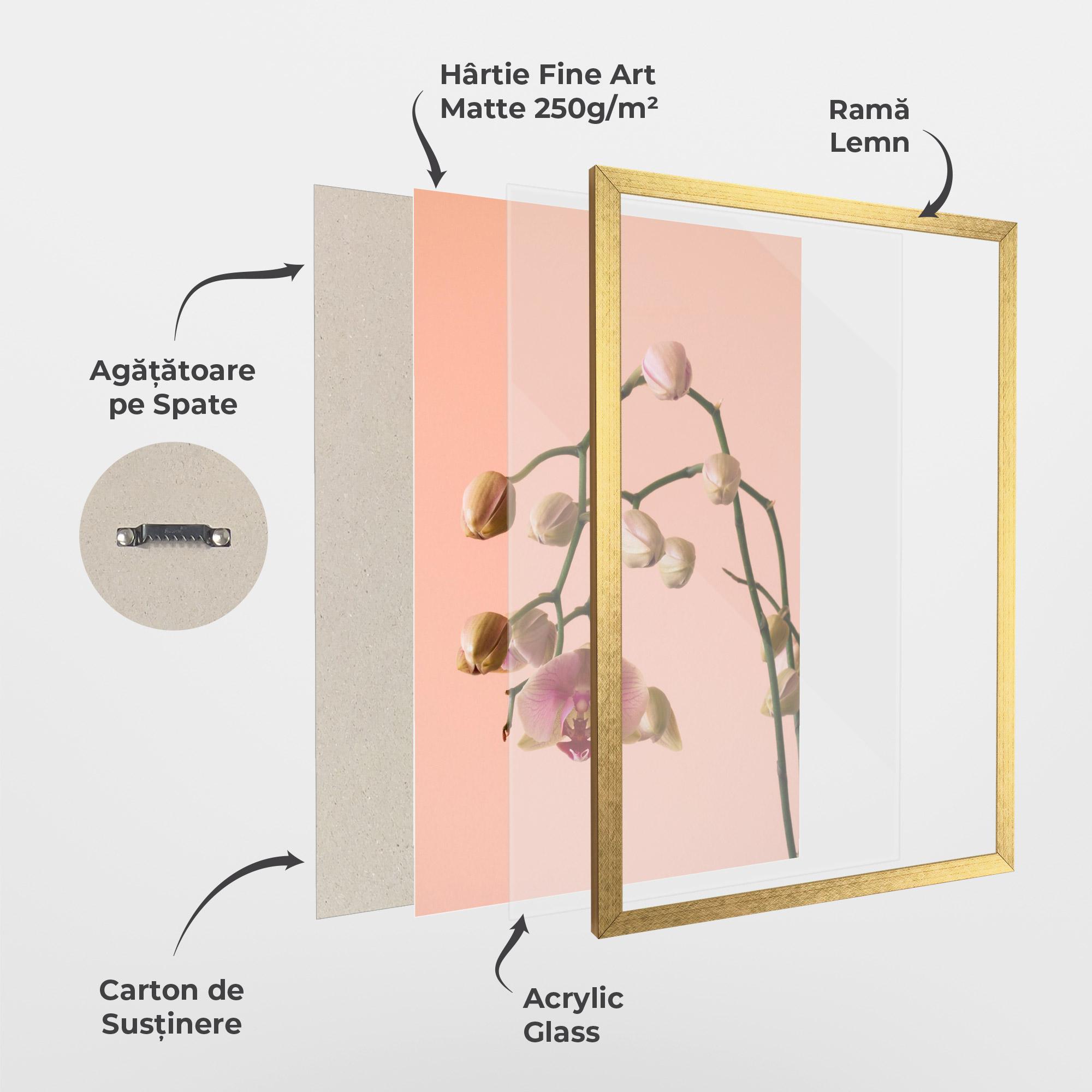 Poster Înrămat Orchids On Pink mockup 1