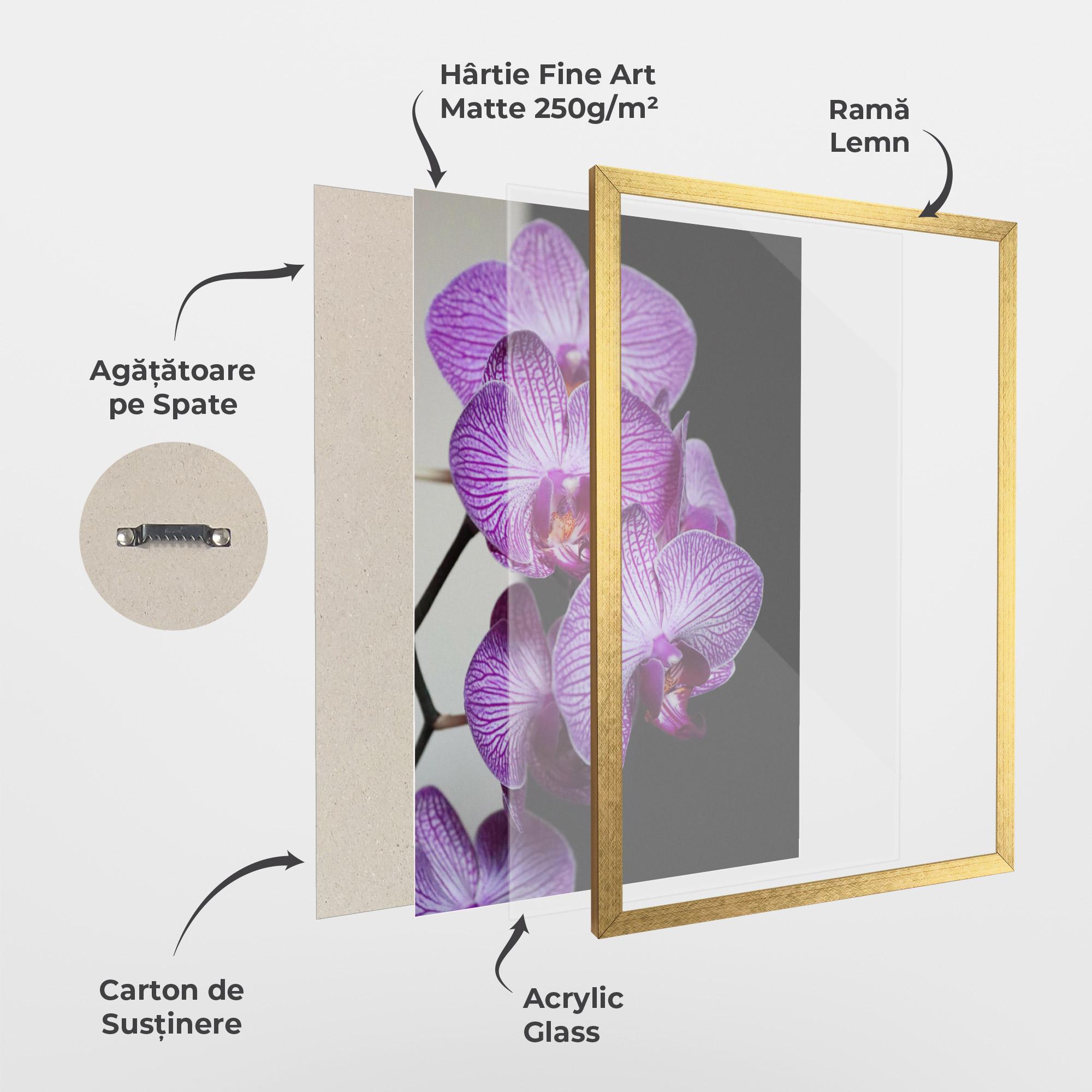 Poster Înrămat Purple Orchid On Black mockup 1