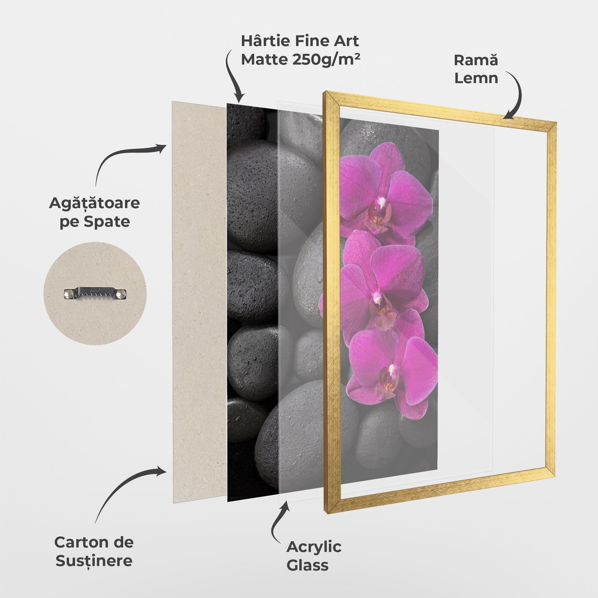 Poster Înrămat Purple Orchid On Rocks mockup 1