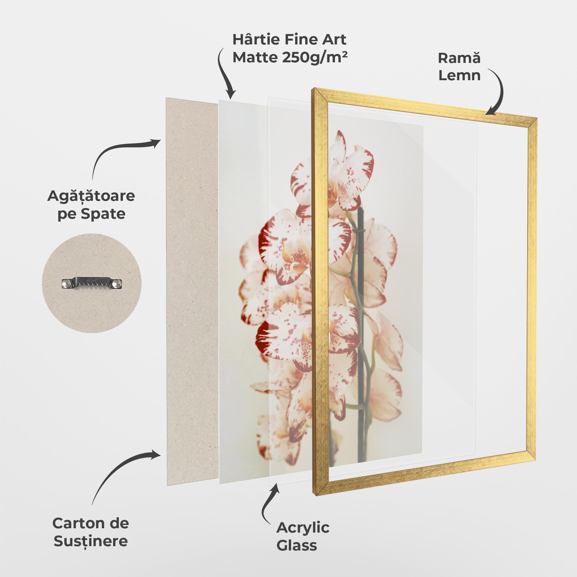 Poster Înrămat Red White Orchids mockup 1