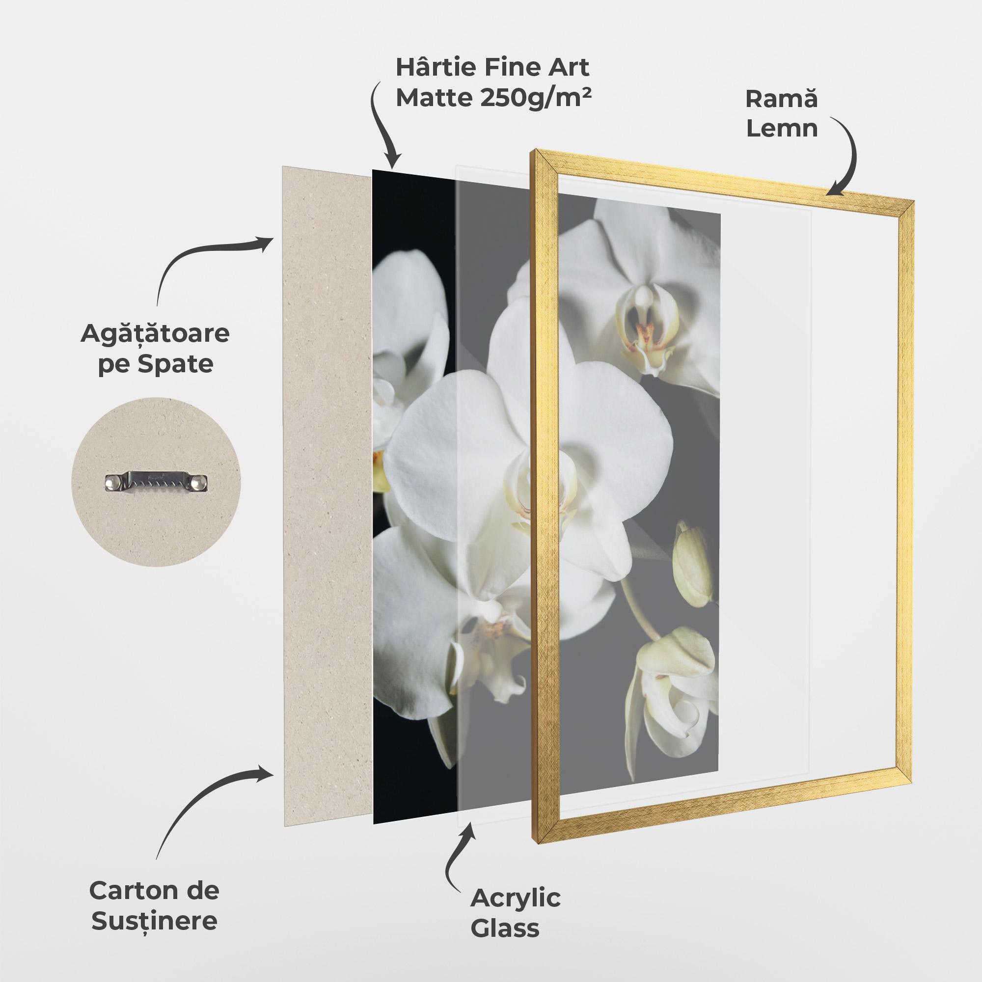 Poster Înrămat White Orchid On Black mockup 1
