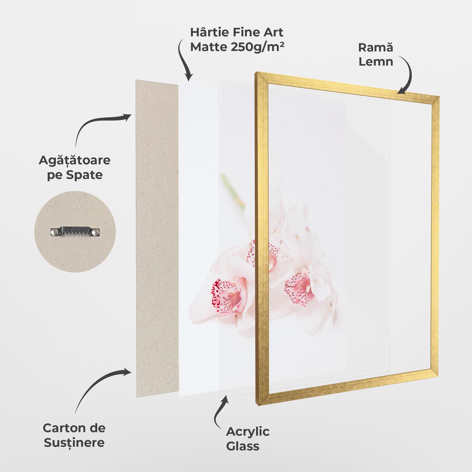 Poster Înrămat White Orchid With Pink mockup 1