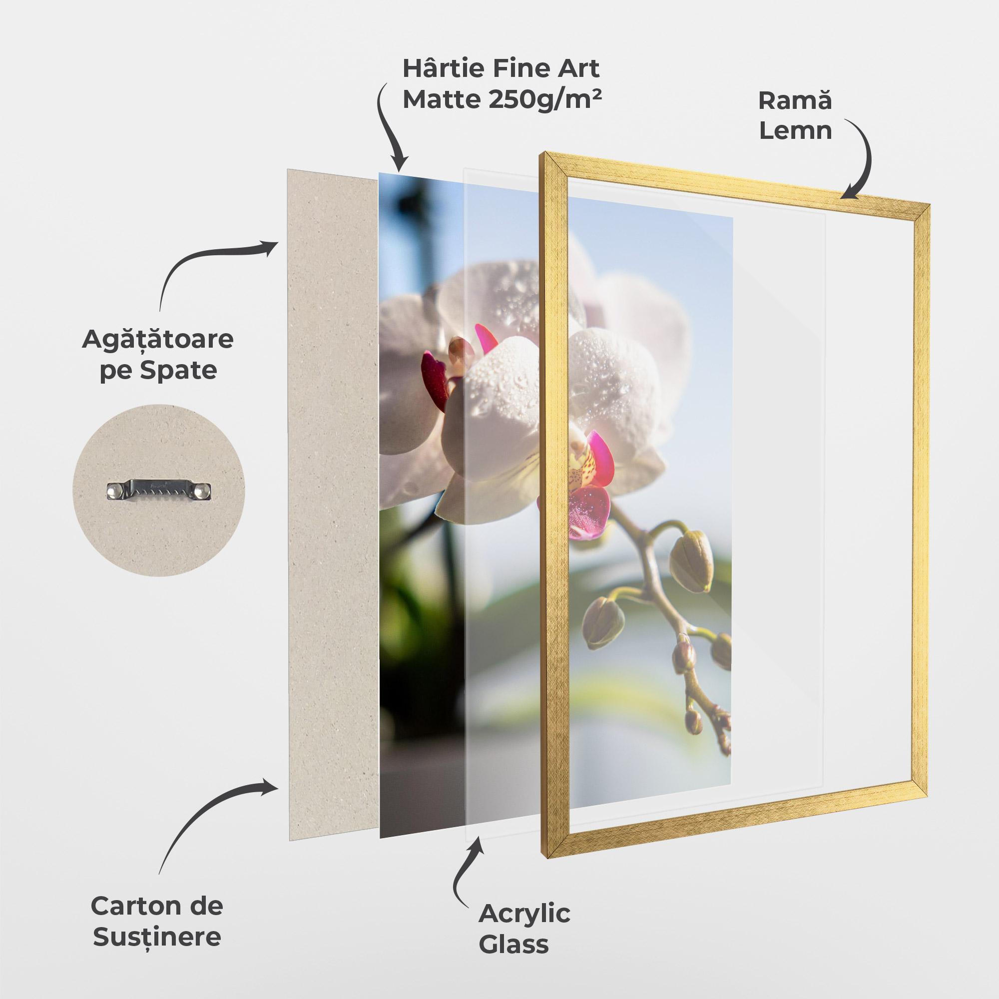 Poster Înrămat White Orchid With Water mockup 1