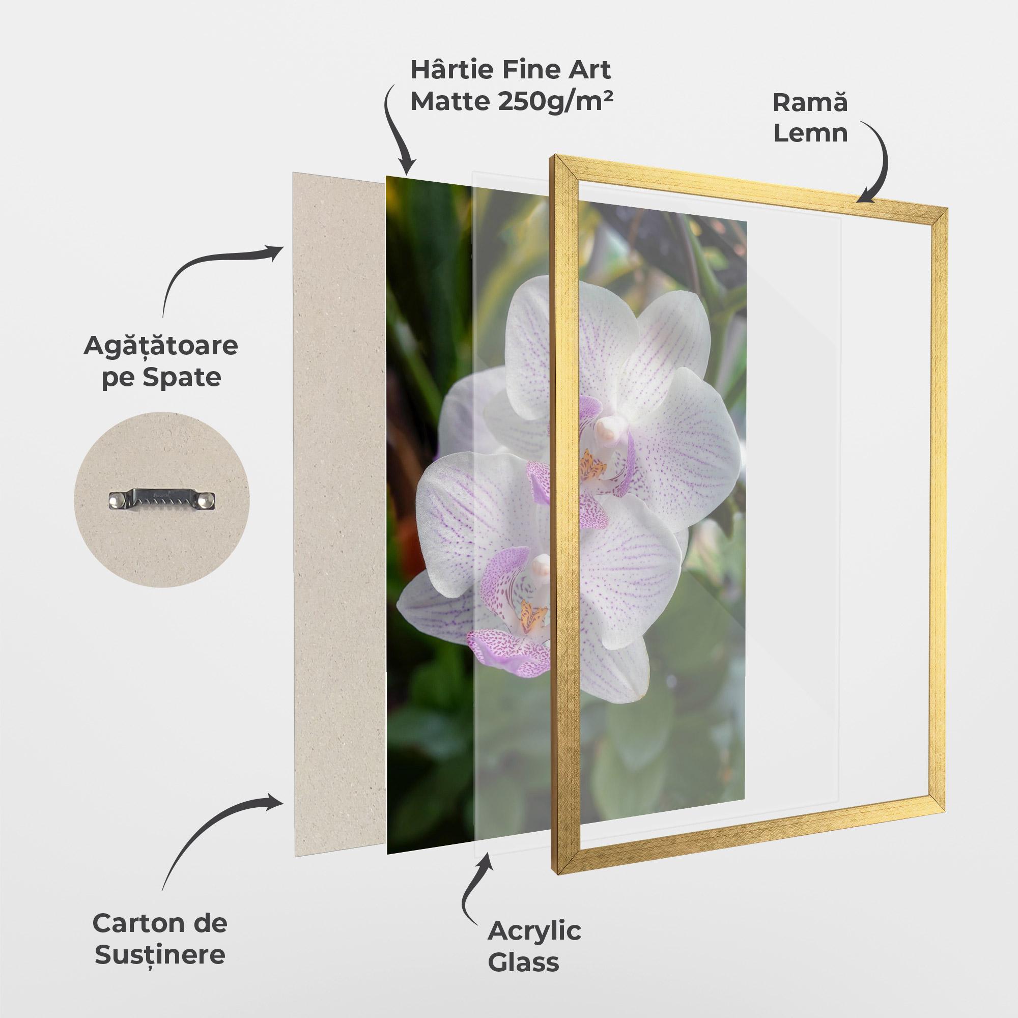 Poster Înrămat White Orchids mockup 1