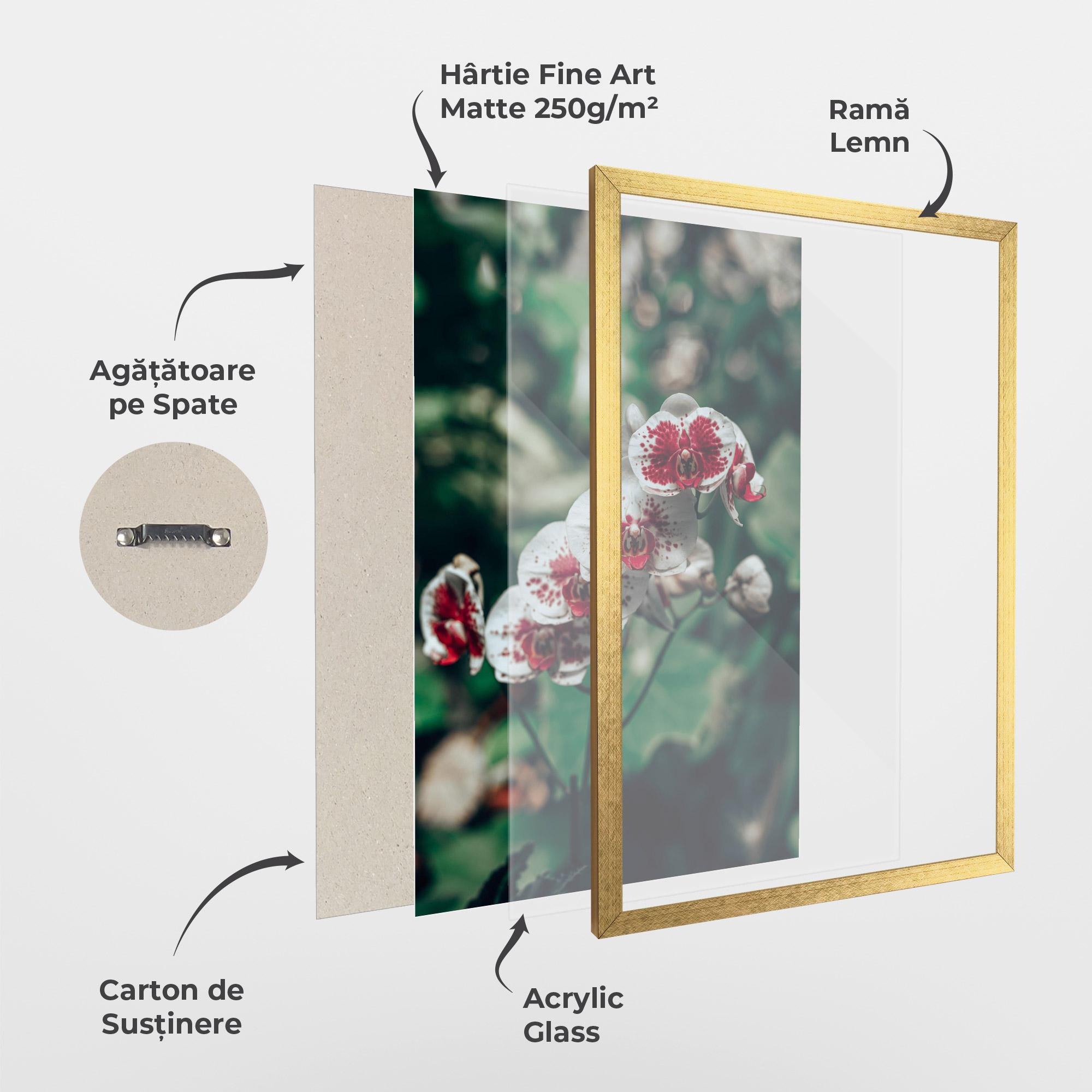 Poster Înrămat White Red Orchid mockup 1
