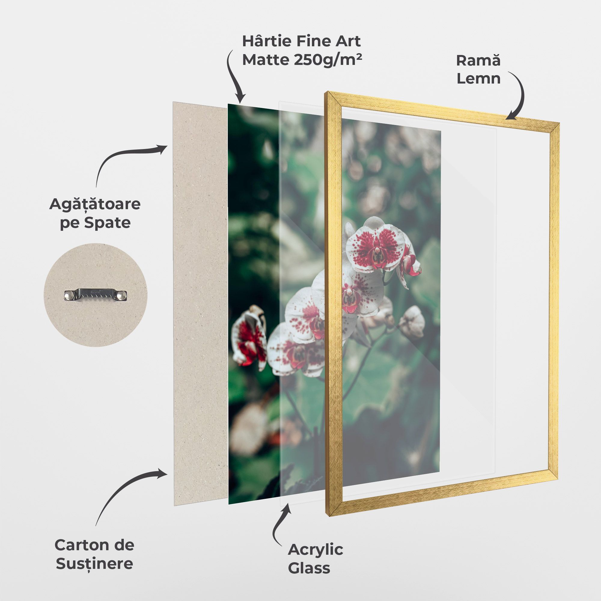 White Red Orchid mockup 1