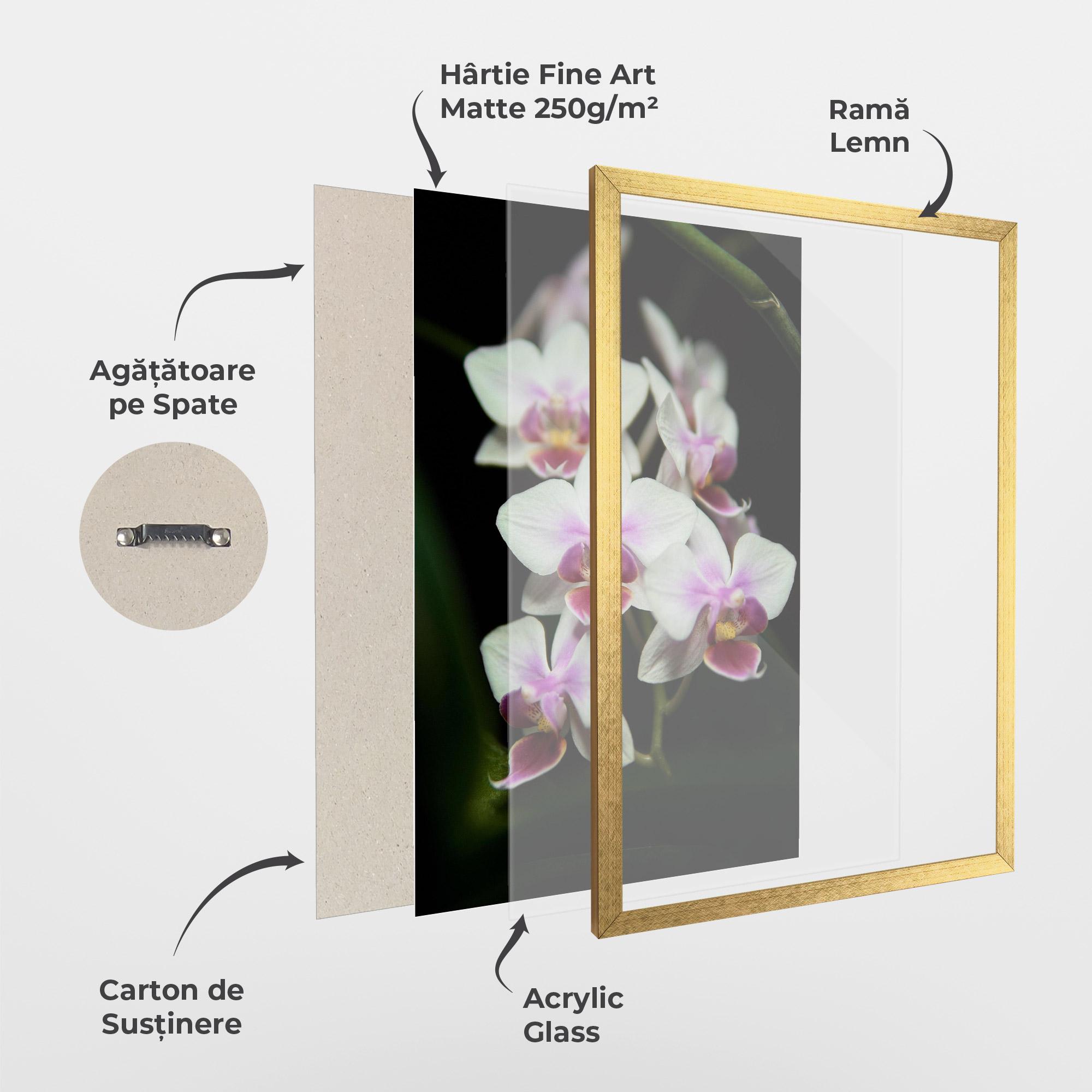 Poster Înrămat Wild White Purple Orchid mockup 1
