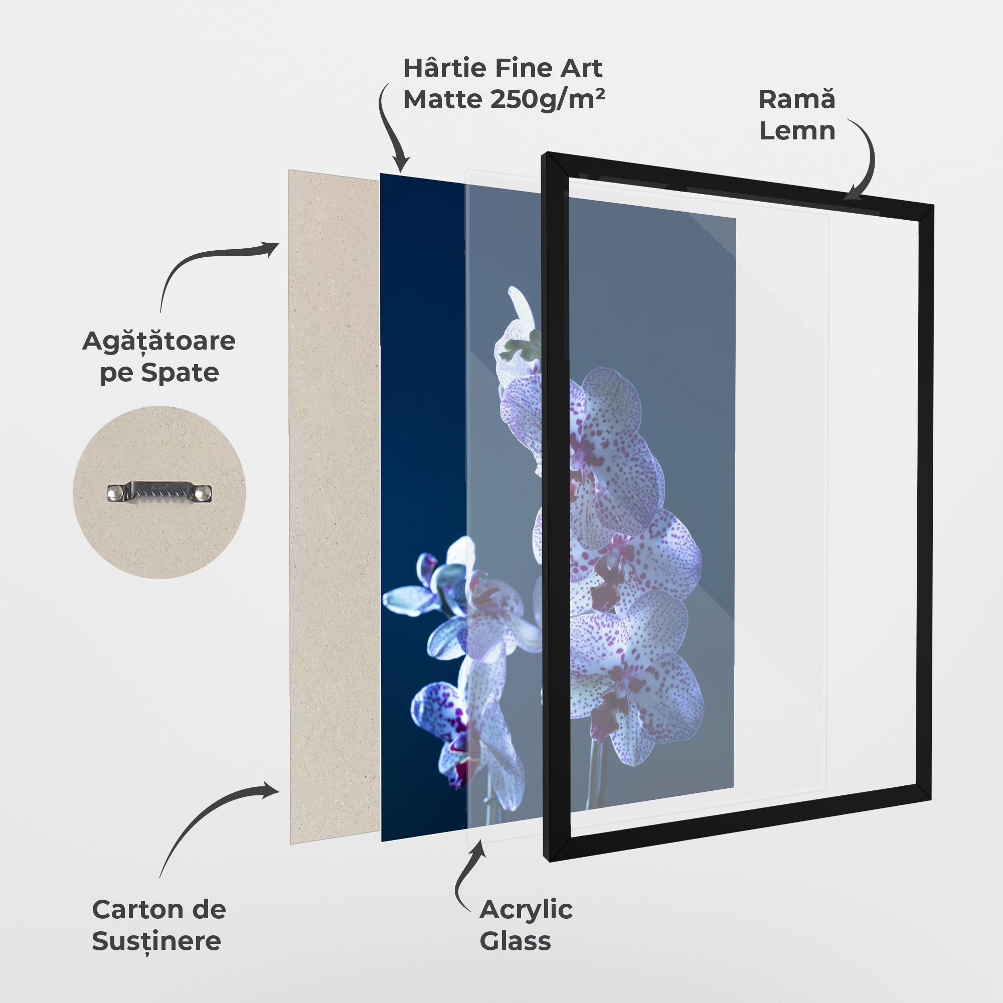 Blue Light Orchid mockup 1