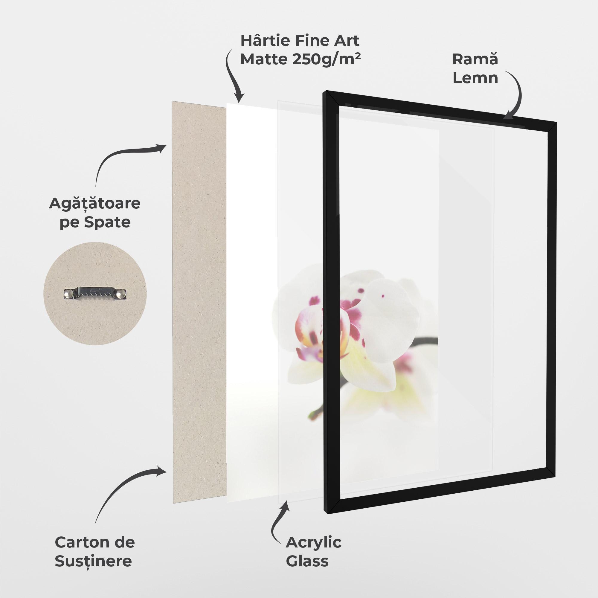 Poster Înrămat Clean White Orchid mockup 1