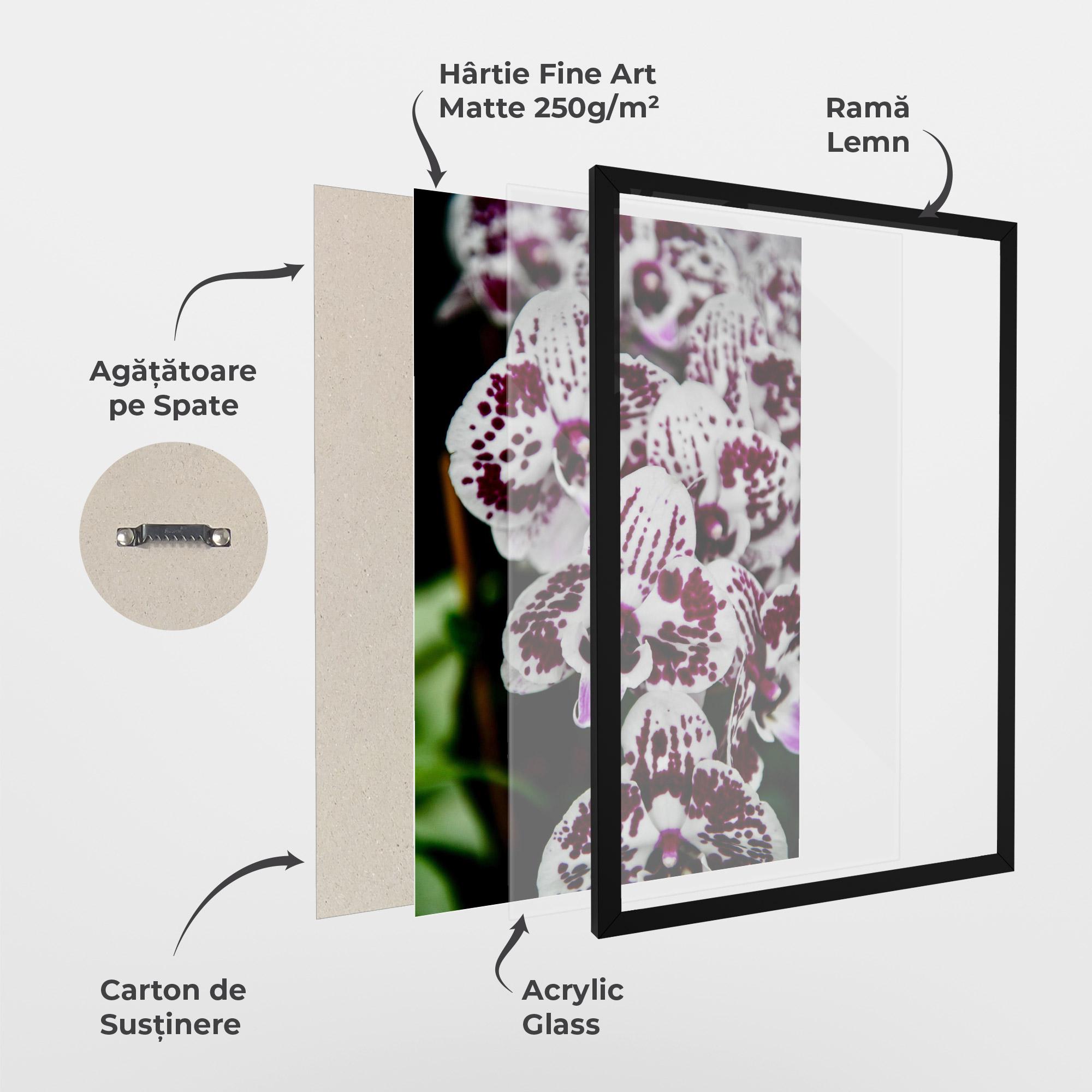 Poster Înrămat Dark Purple Orchids mockup 1