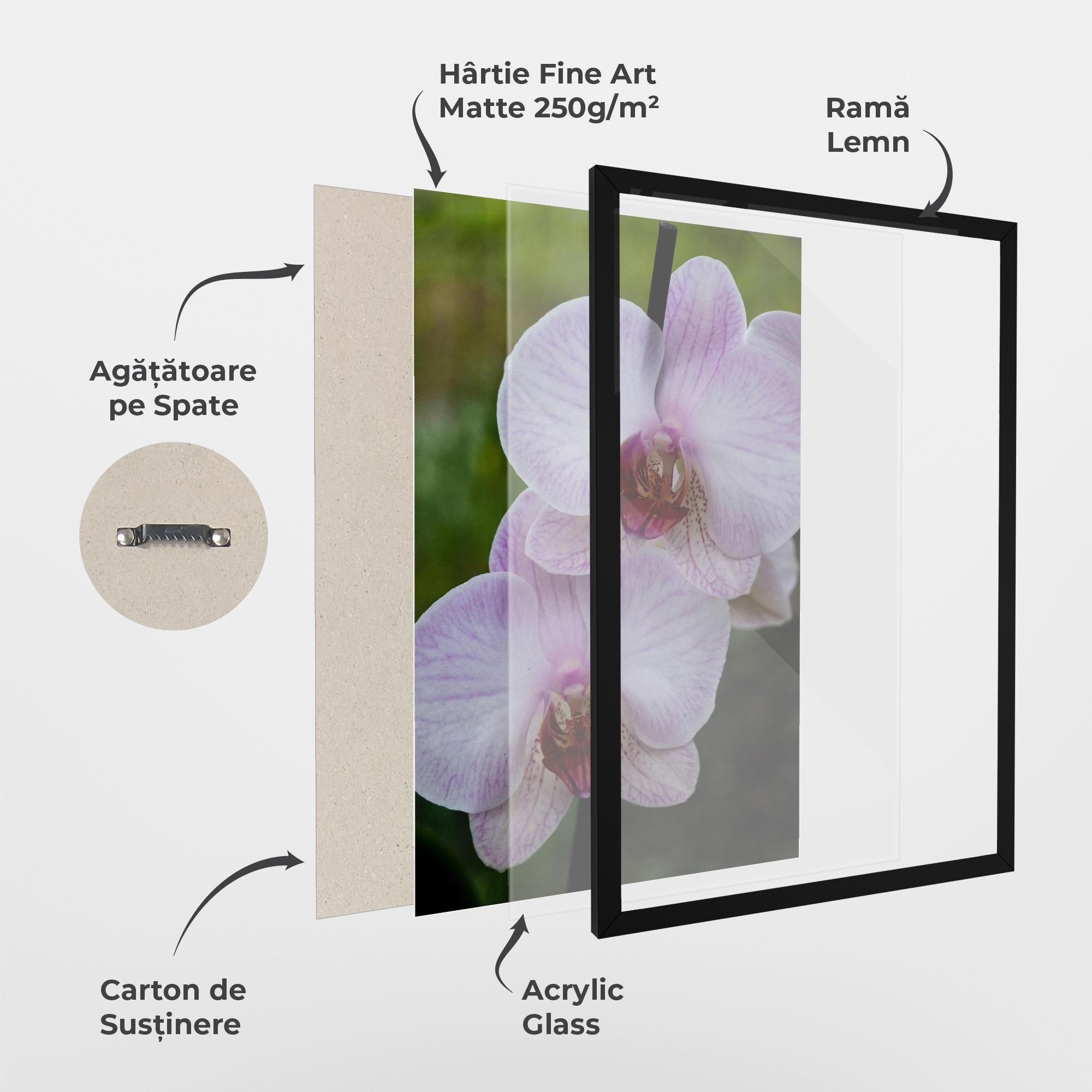 Poster Înrămat Garden Light Purple Orchid mockup 1