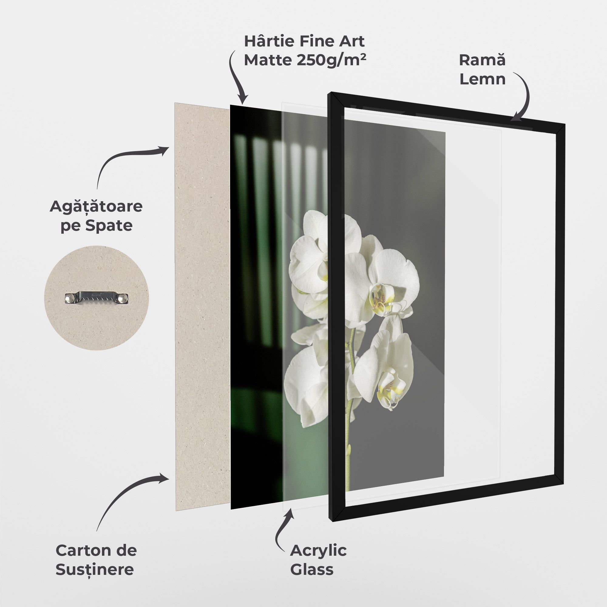 Orchid On Green mockup 1