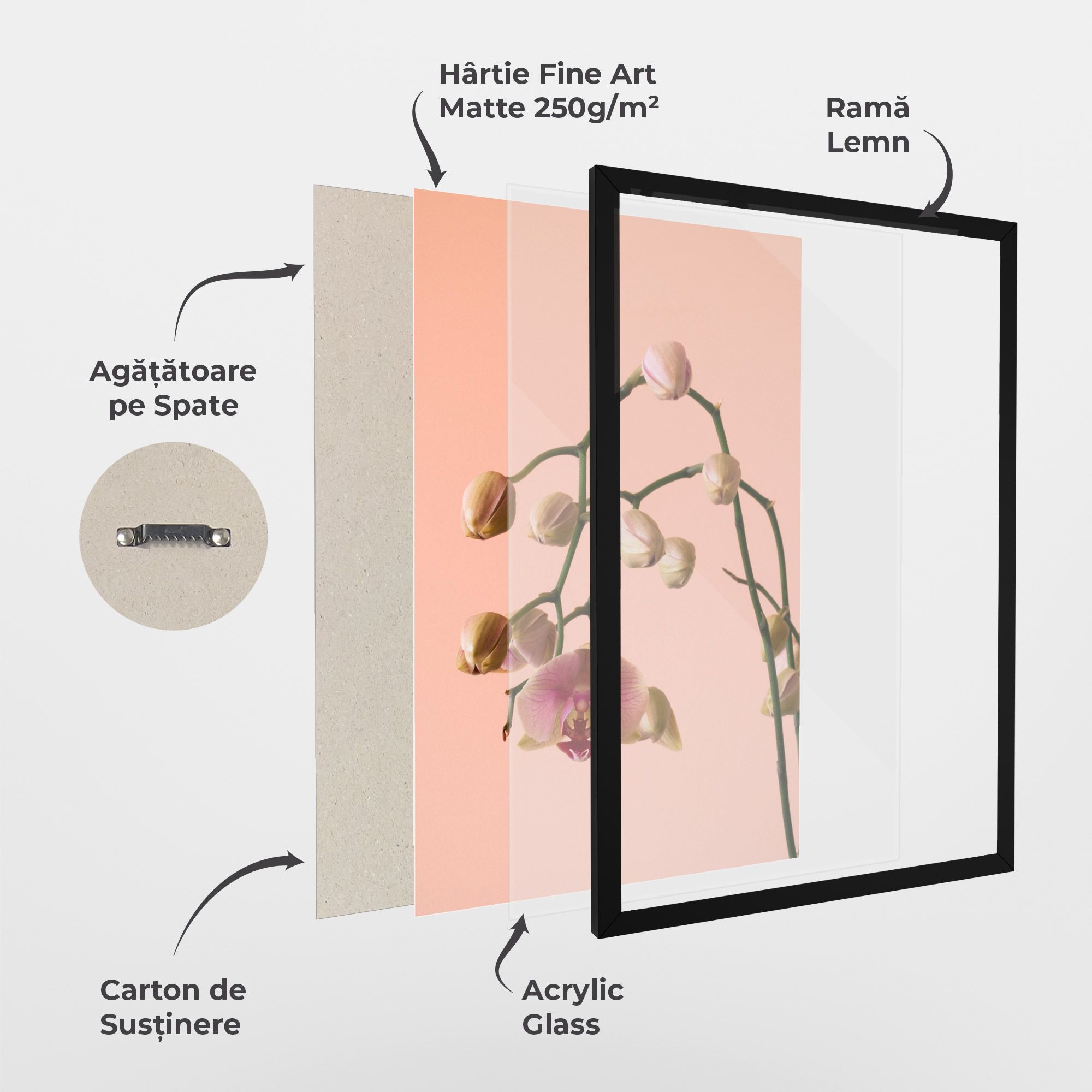 Orchids On Pink mockup 1