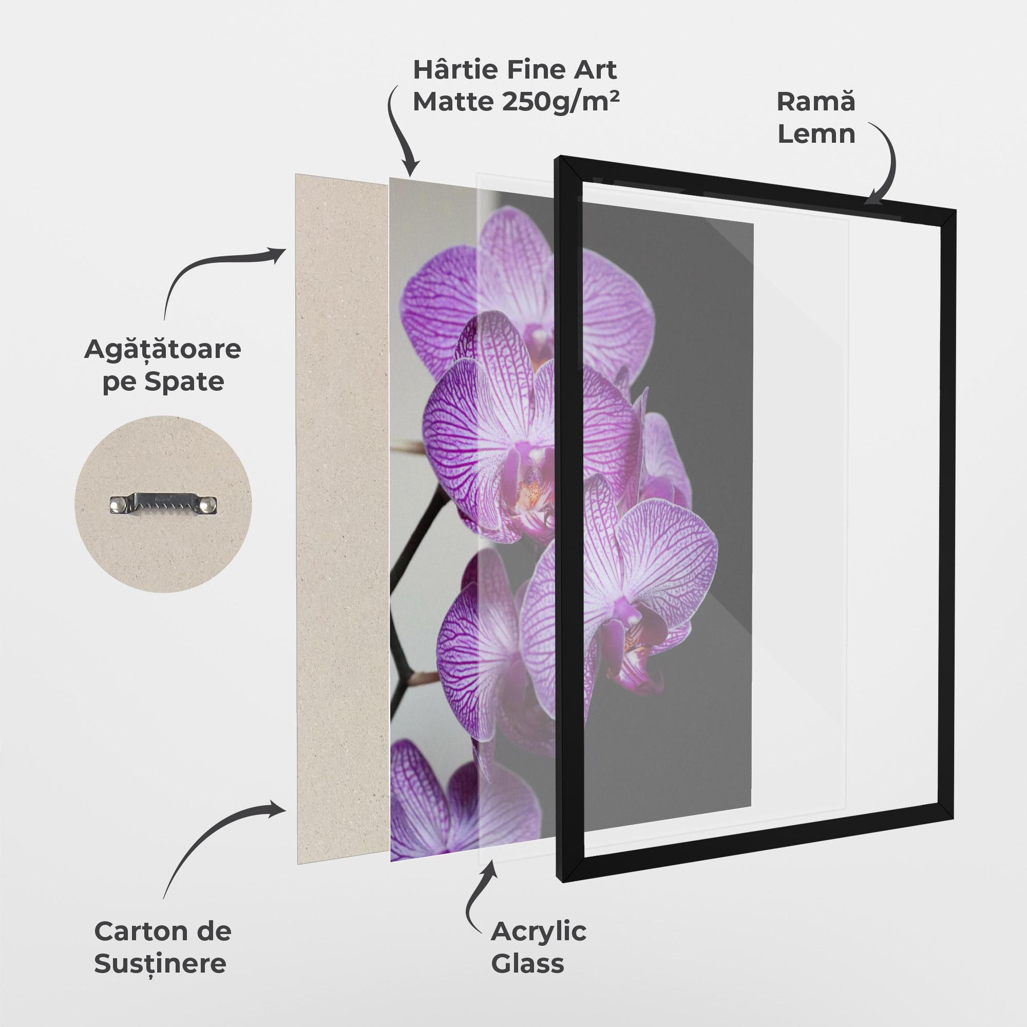 Poster Înrămat Purple Orchid On Black mockup 1