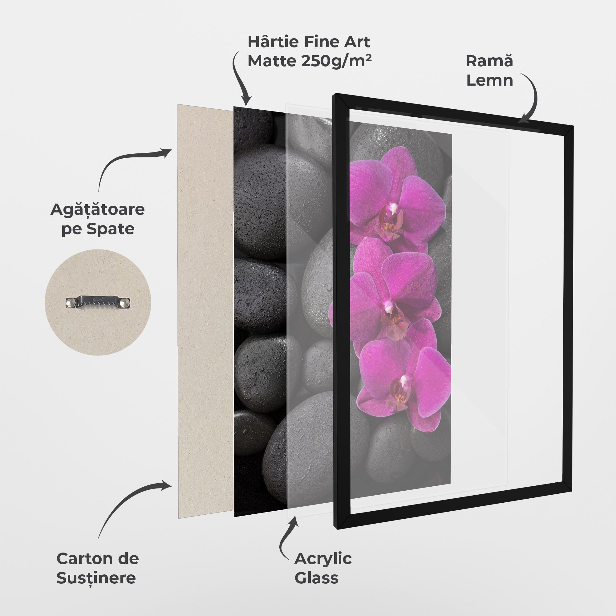 Purple Orchid On Rocks mockup 1