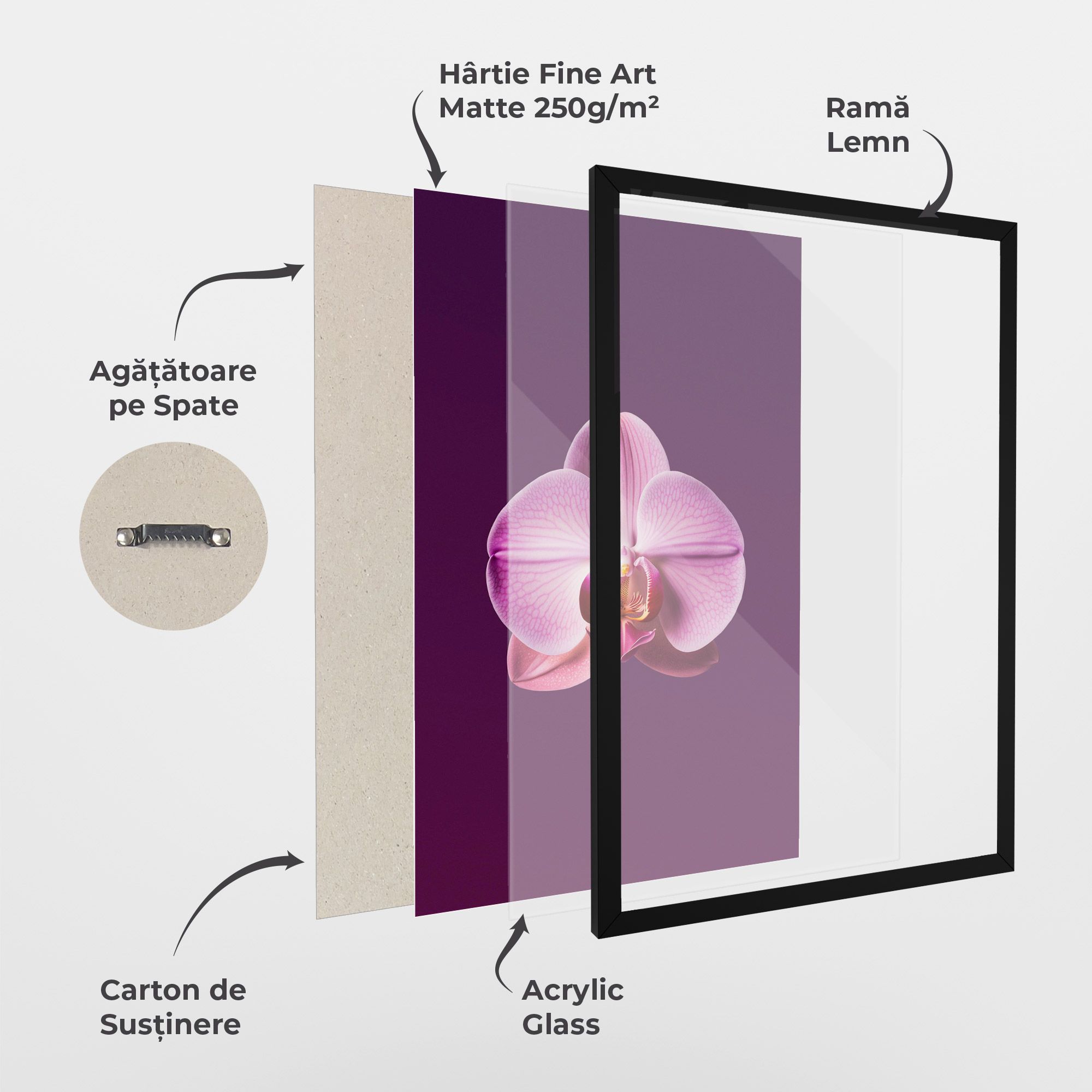 Purple Orchid mockup 1