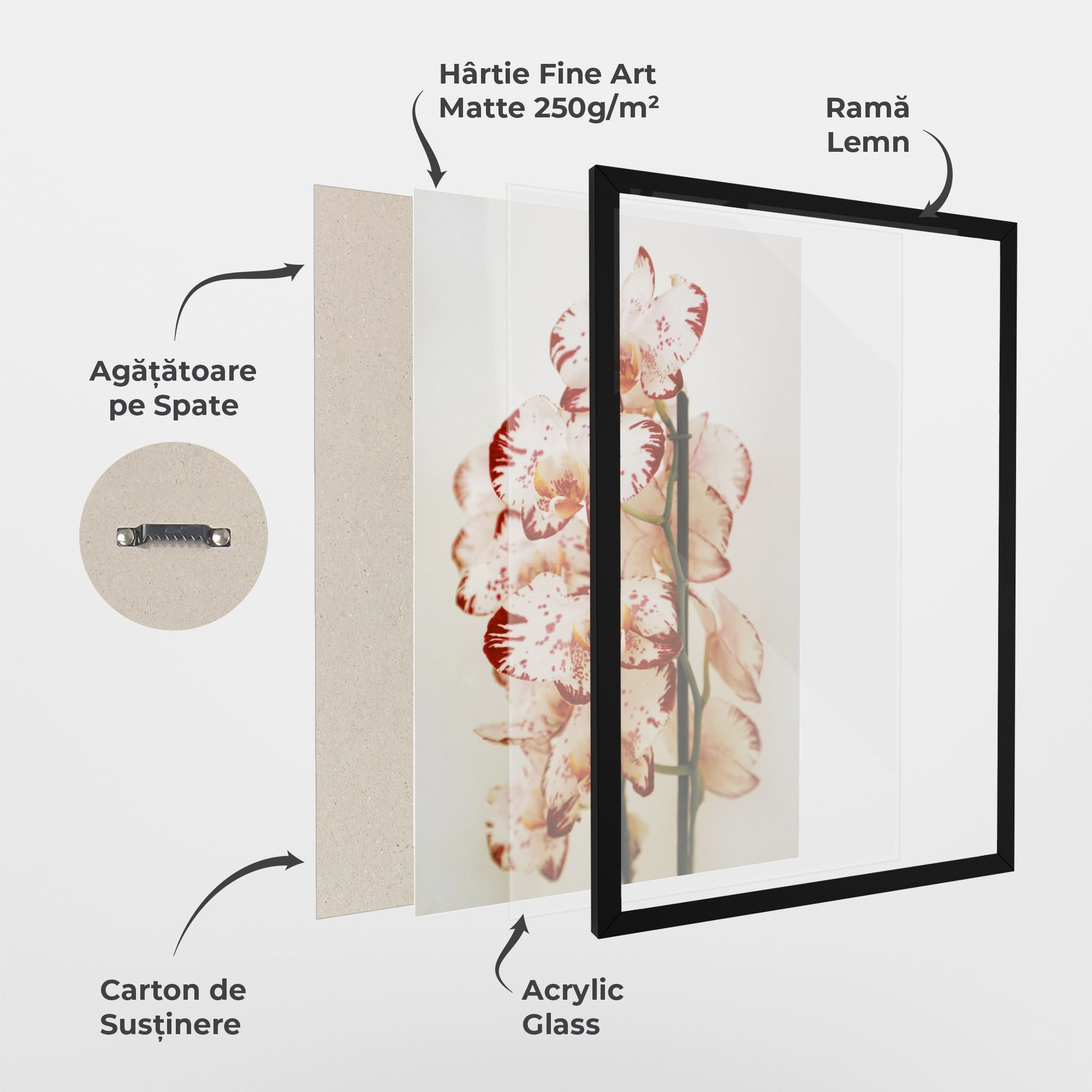 Red White Orchids mockup 1