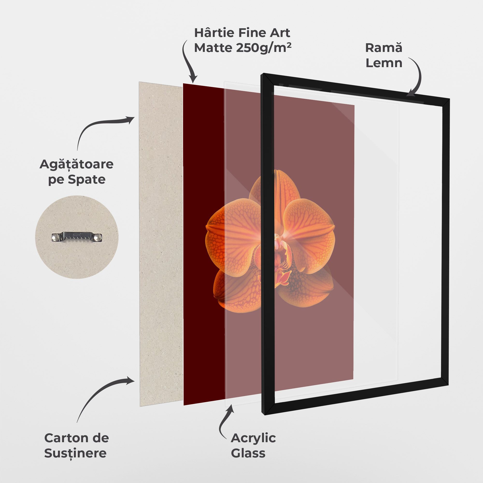 Strong Orange Orchid mockup 1