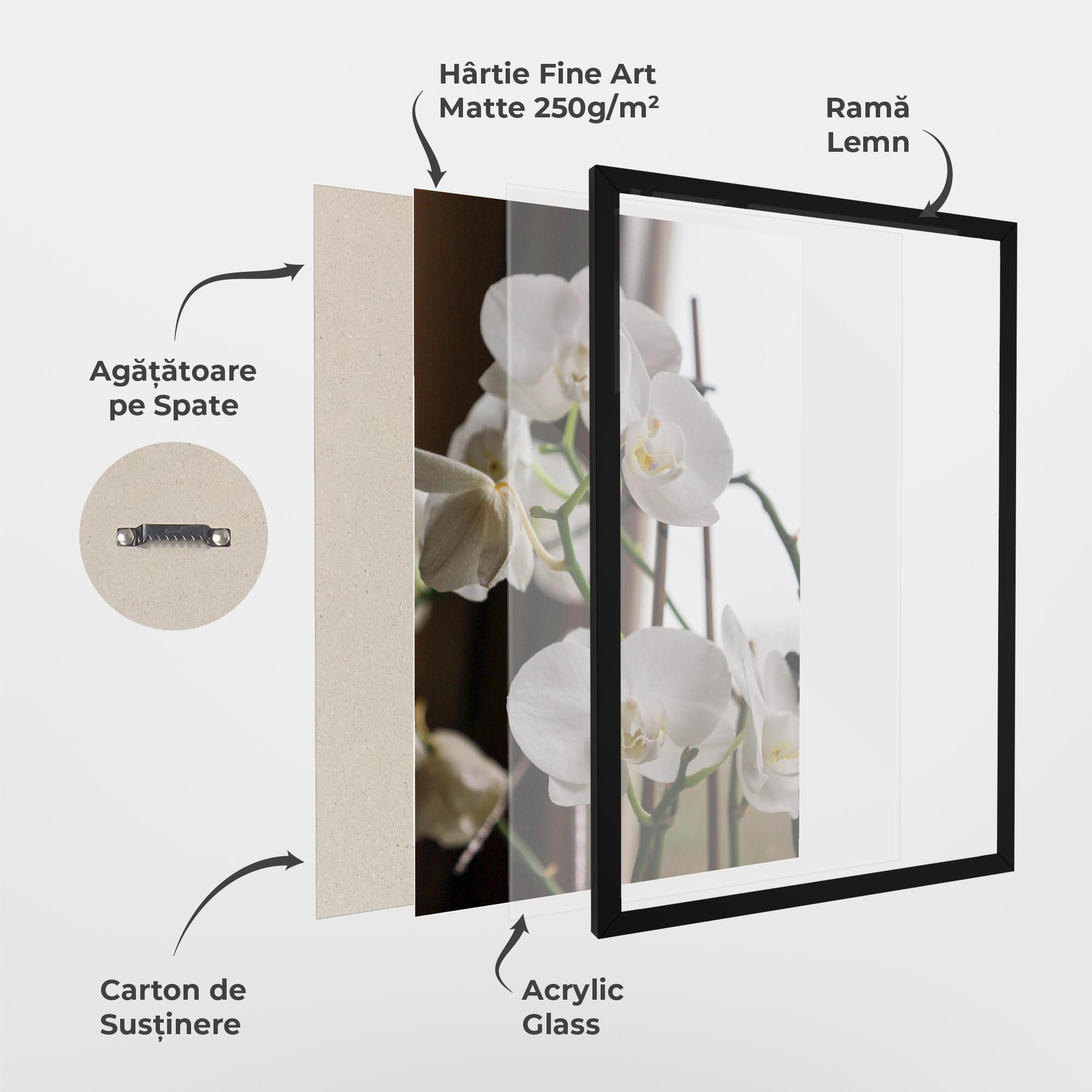 Poster Înrămat White Orchid Growing mockup 1
