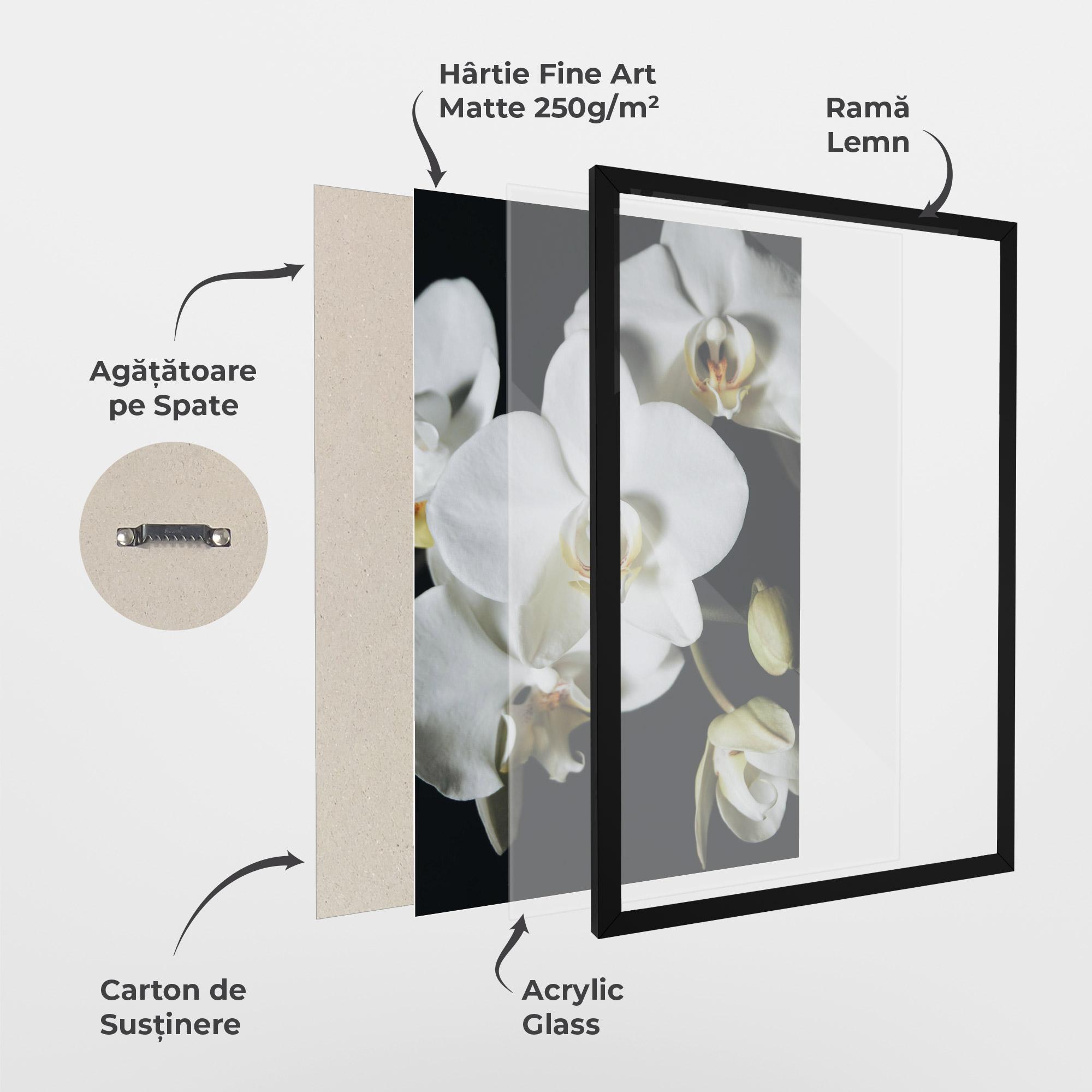 Poster Înrămat White Orchid On Black mockup 1