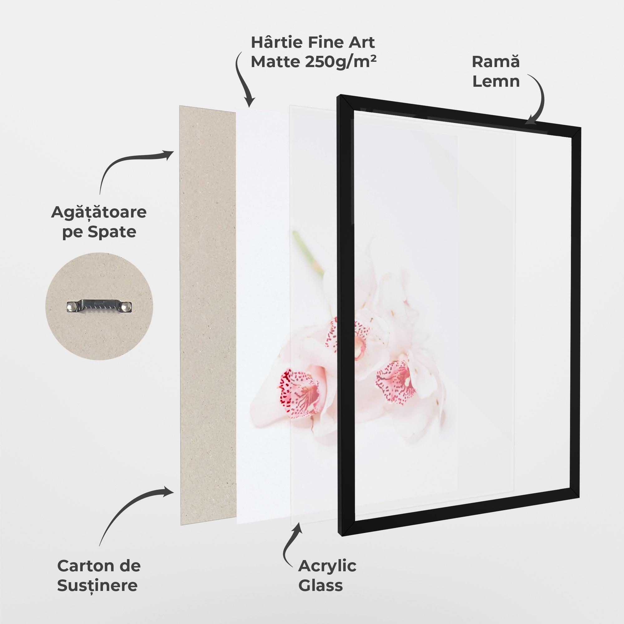 Poster Înrămat White Orchid With Pink mockup 1