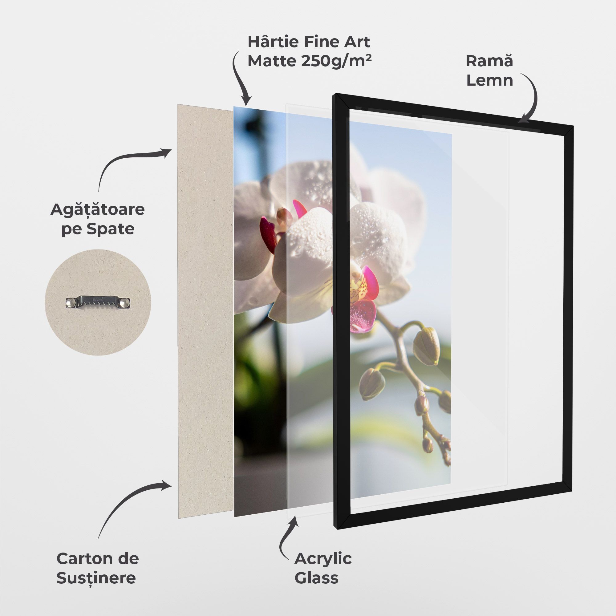 White Orchid With Water mockup 1