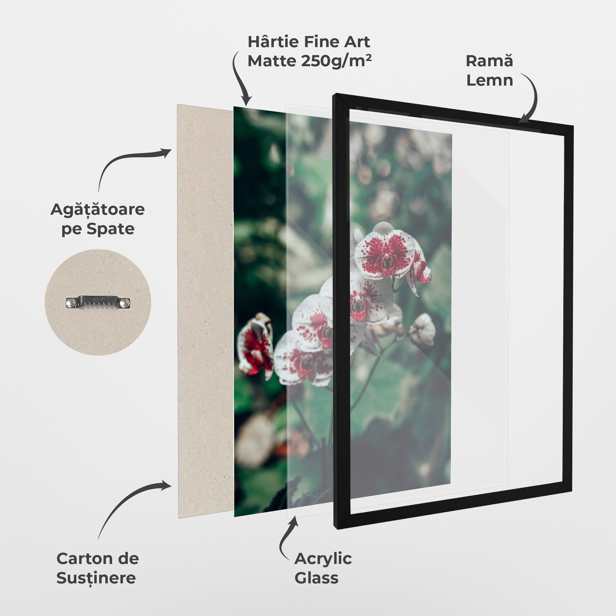 Poster Înrămat White Red Orchid mockup 1